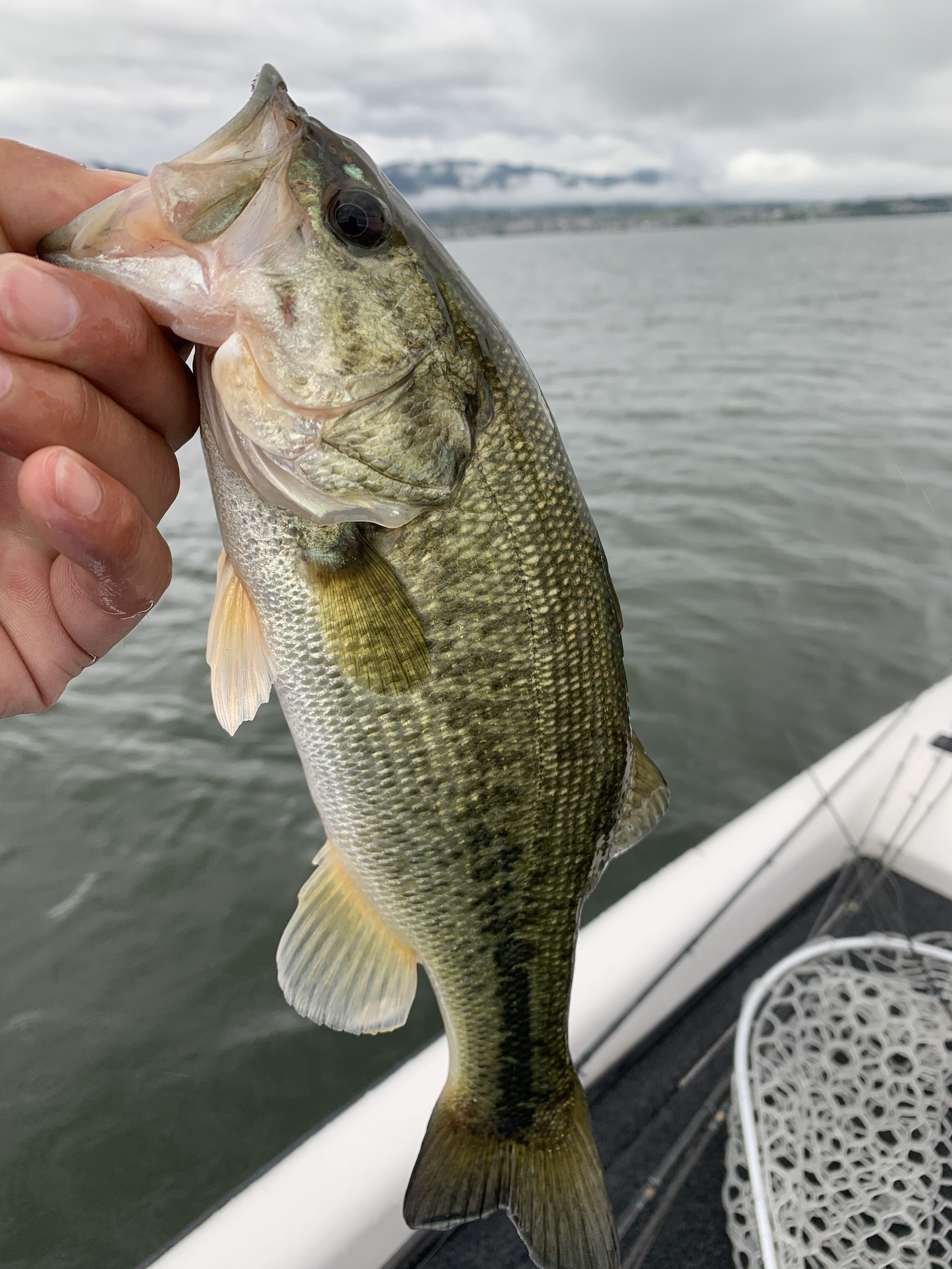 914FCDFB-CF83-41D9-AFF7-54221BAE81E7