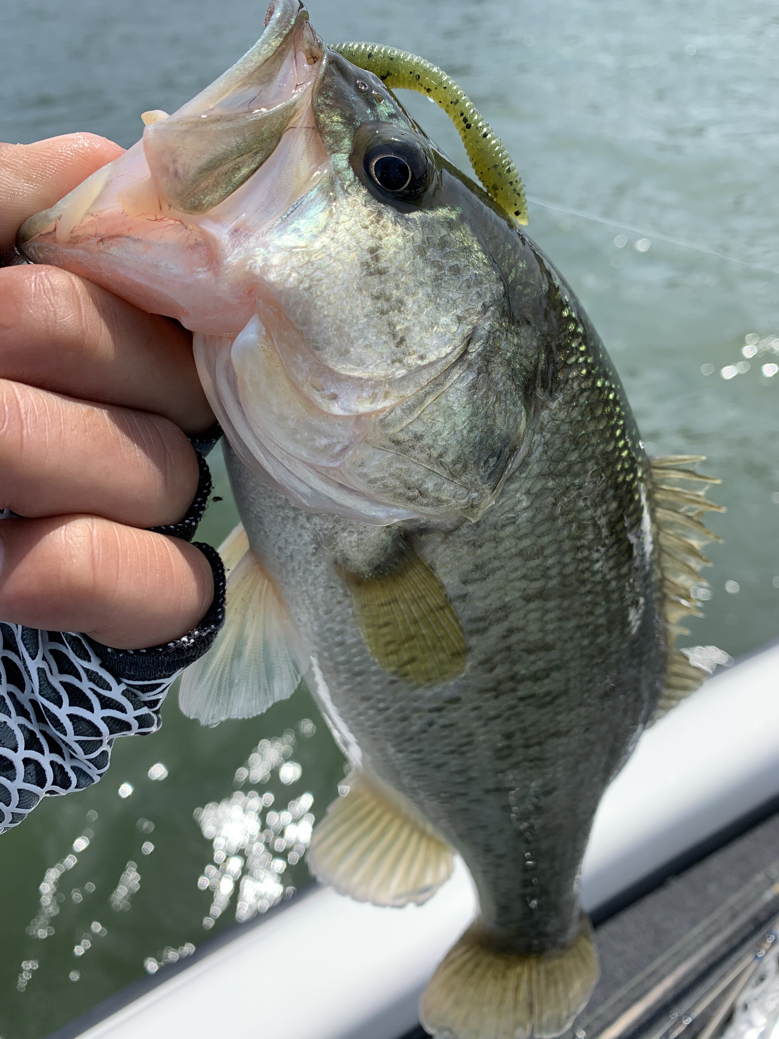 962B1236-43BA-4352-9D1F-B309D4BB7142