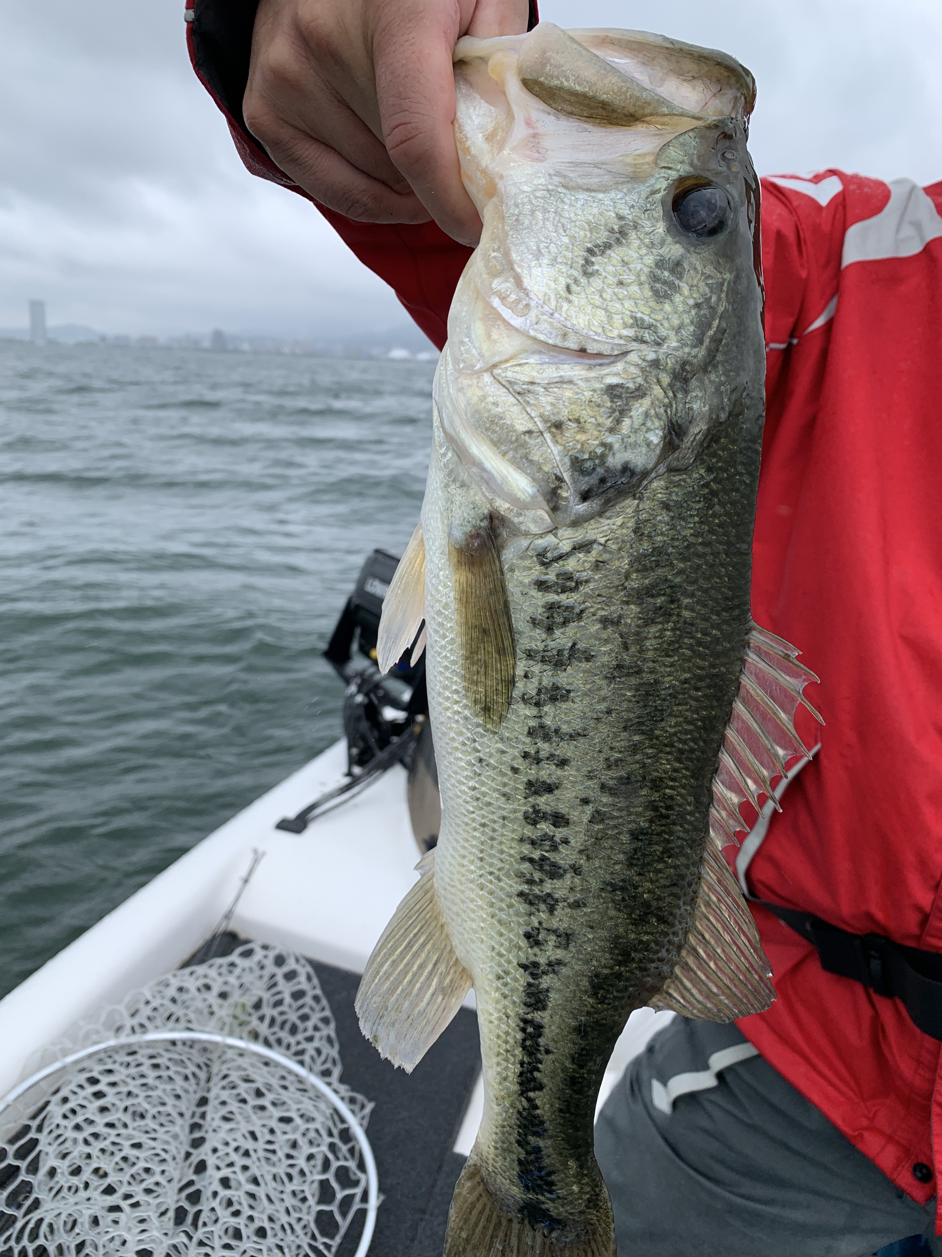 98BB79FB-05BC-4ED7-9511-48D3DDA0E62E