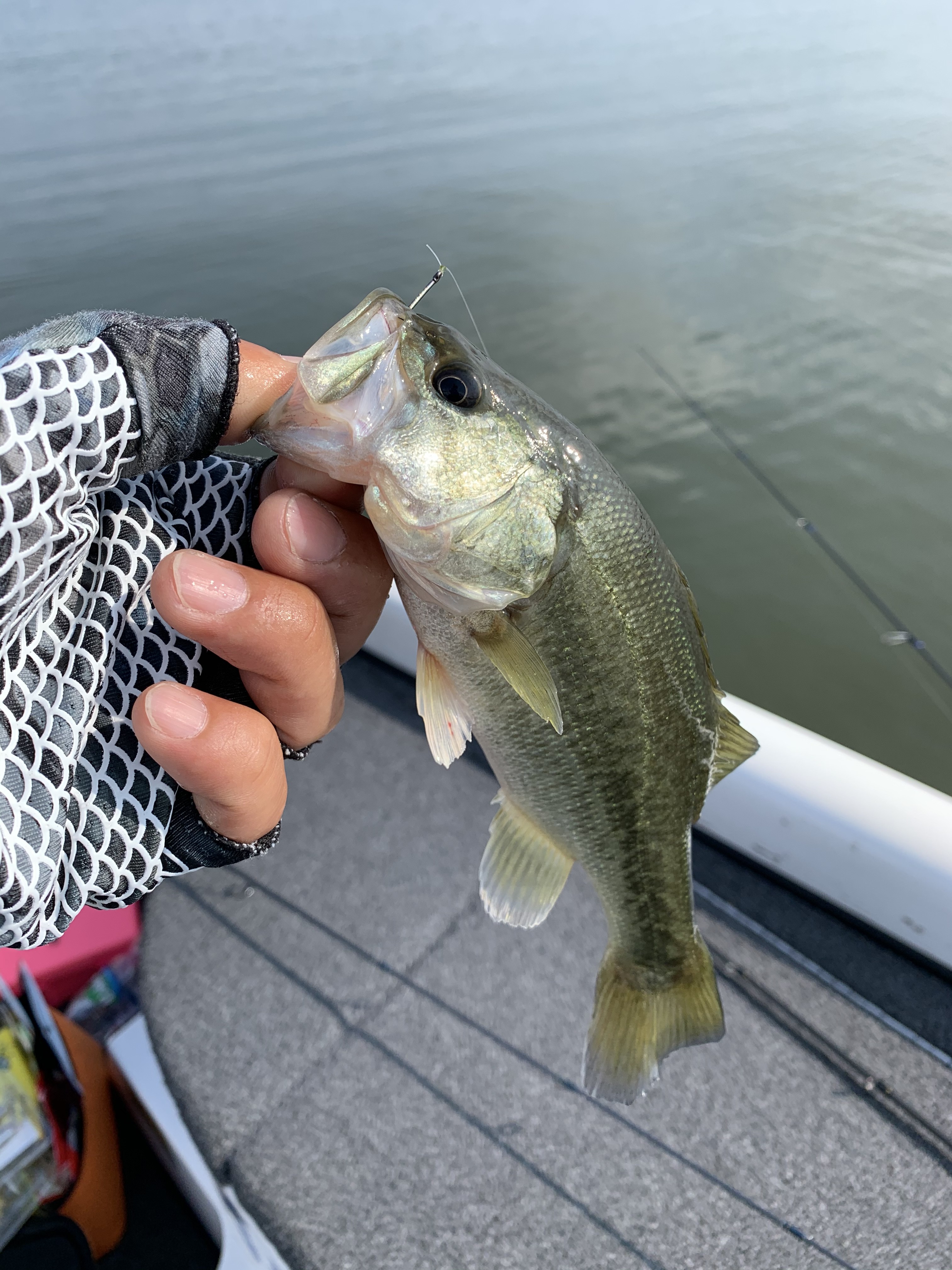 99C41ADD-3471-4123-901A-9614C9BBA150