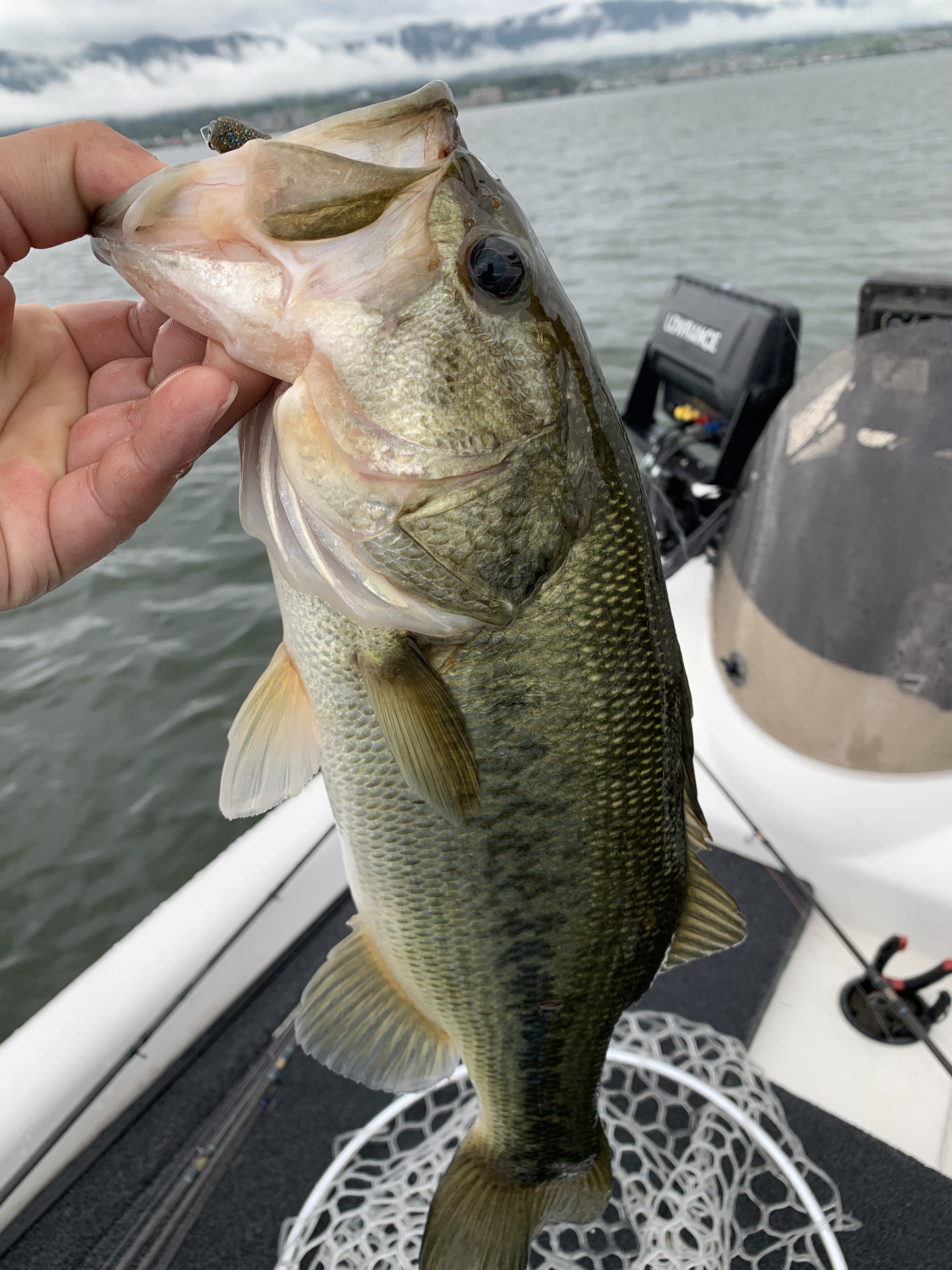 A2B779A1-F89F-4435-B908-F859CC196953