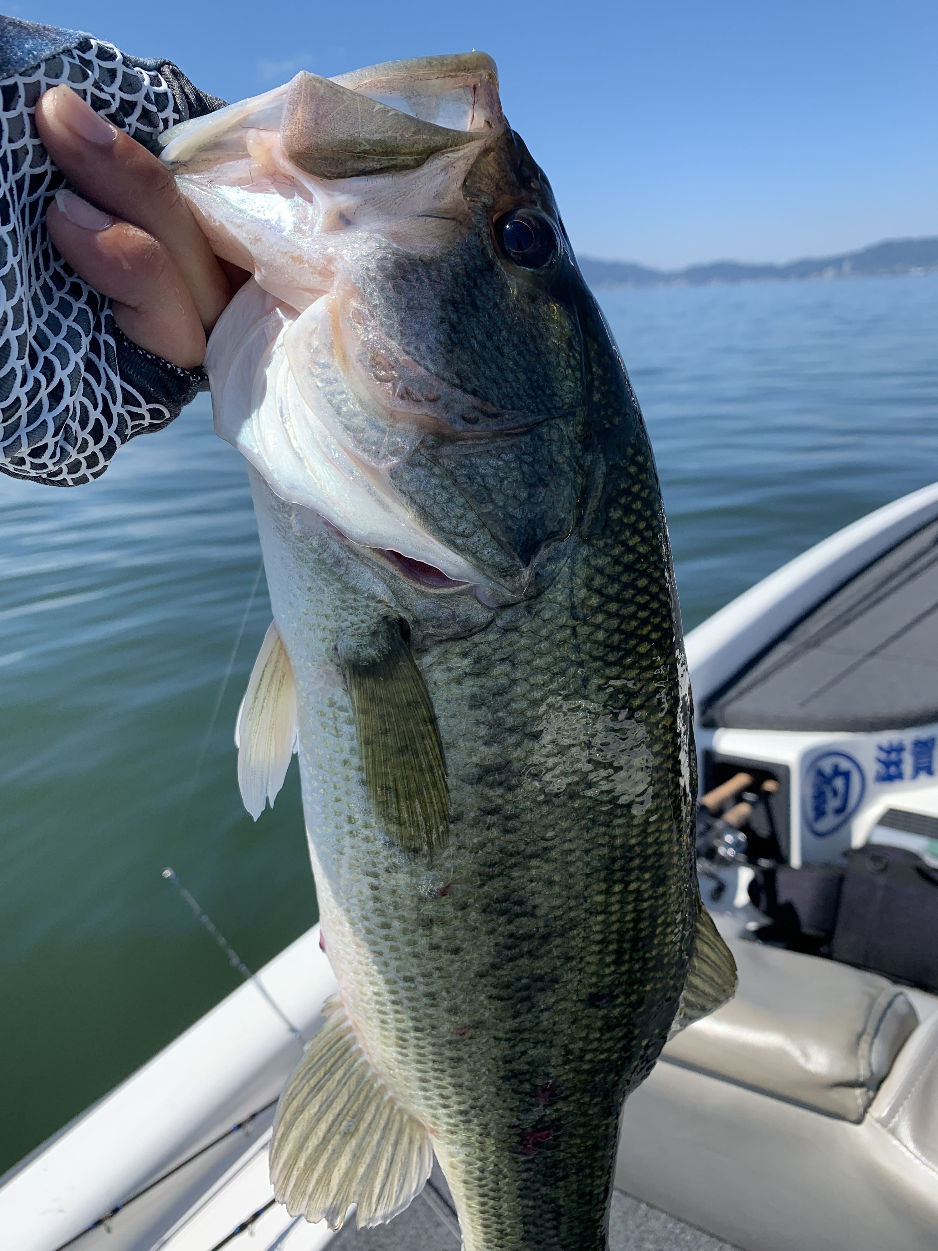 AE9C525A-57A0-426F-9BB0-DEB6F61A99BA