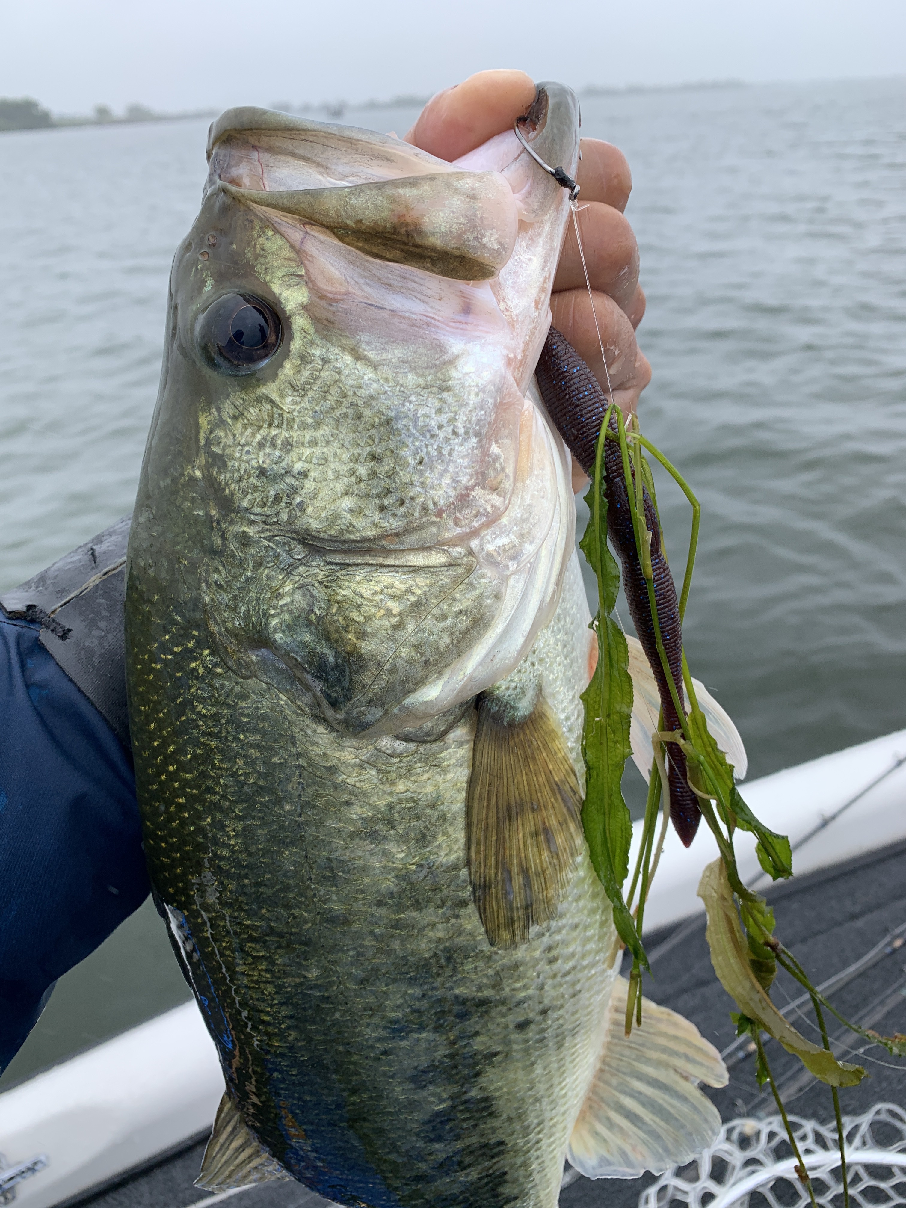 AEEBCCFE-3861-43A7-B810-4D6975B5142D