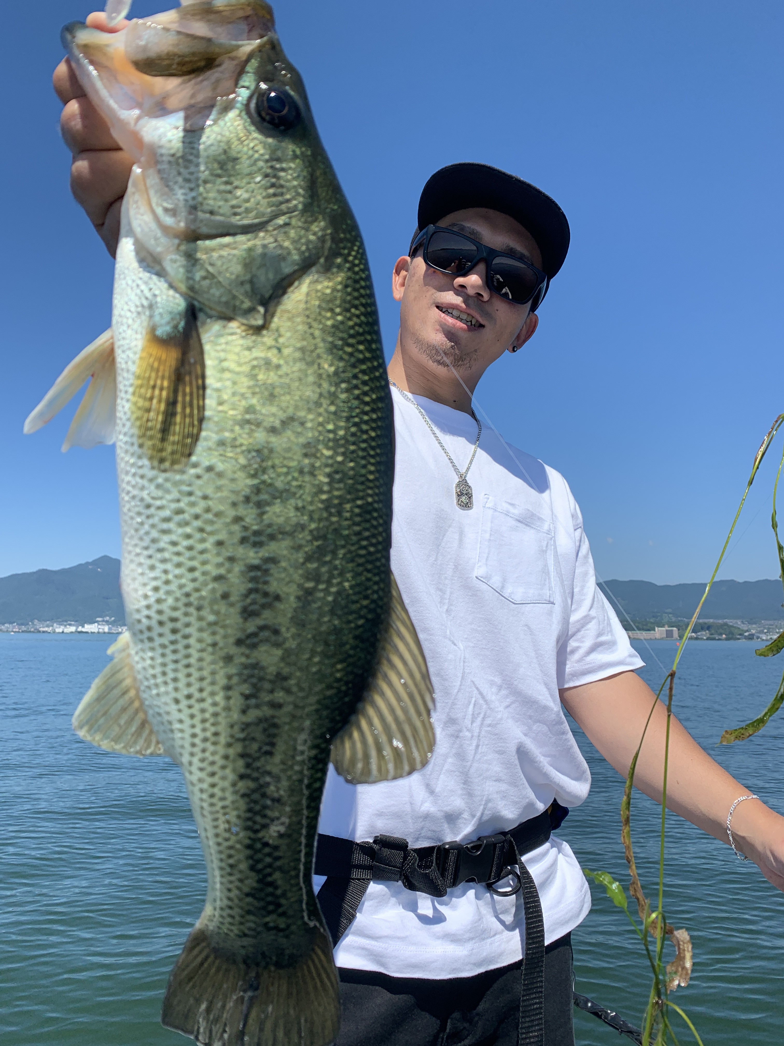 D249523C-148E-4E98-837C-DE1933AA1EA1