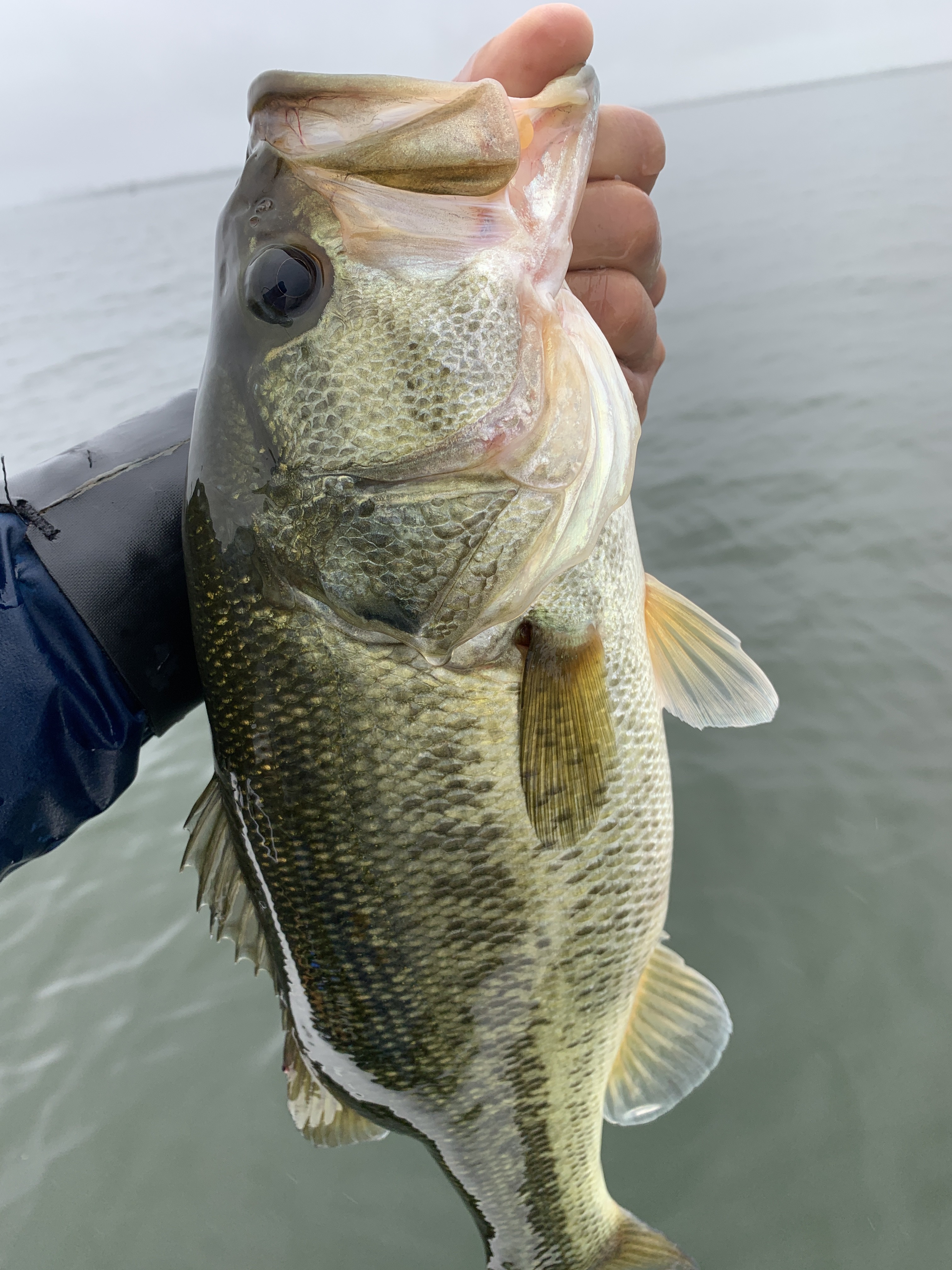 DCD06E3A-14C9-4FB1-98CE-CC9834C77392