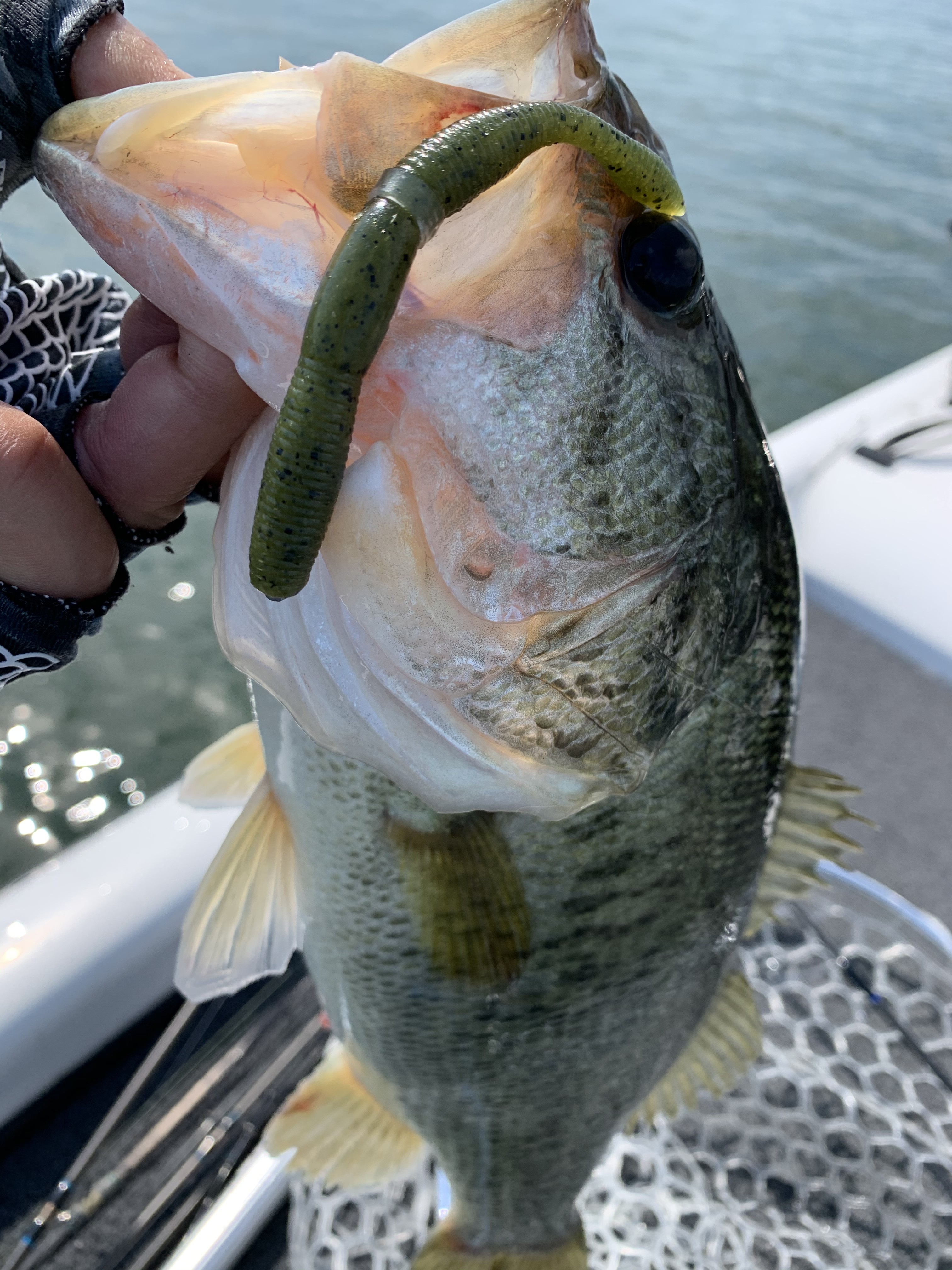 DE689437-641D-4E66-9AE8-CF99A966EBEA