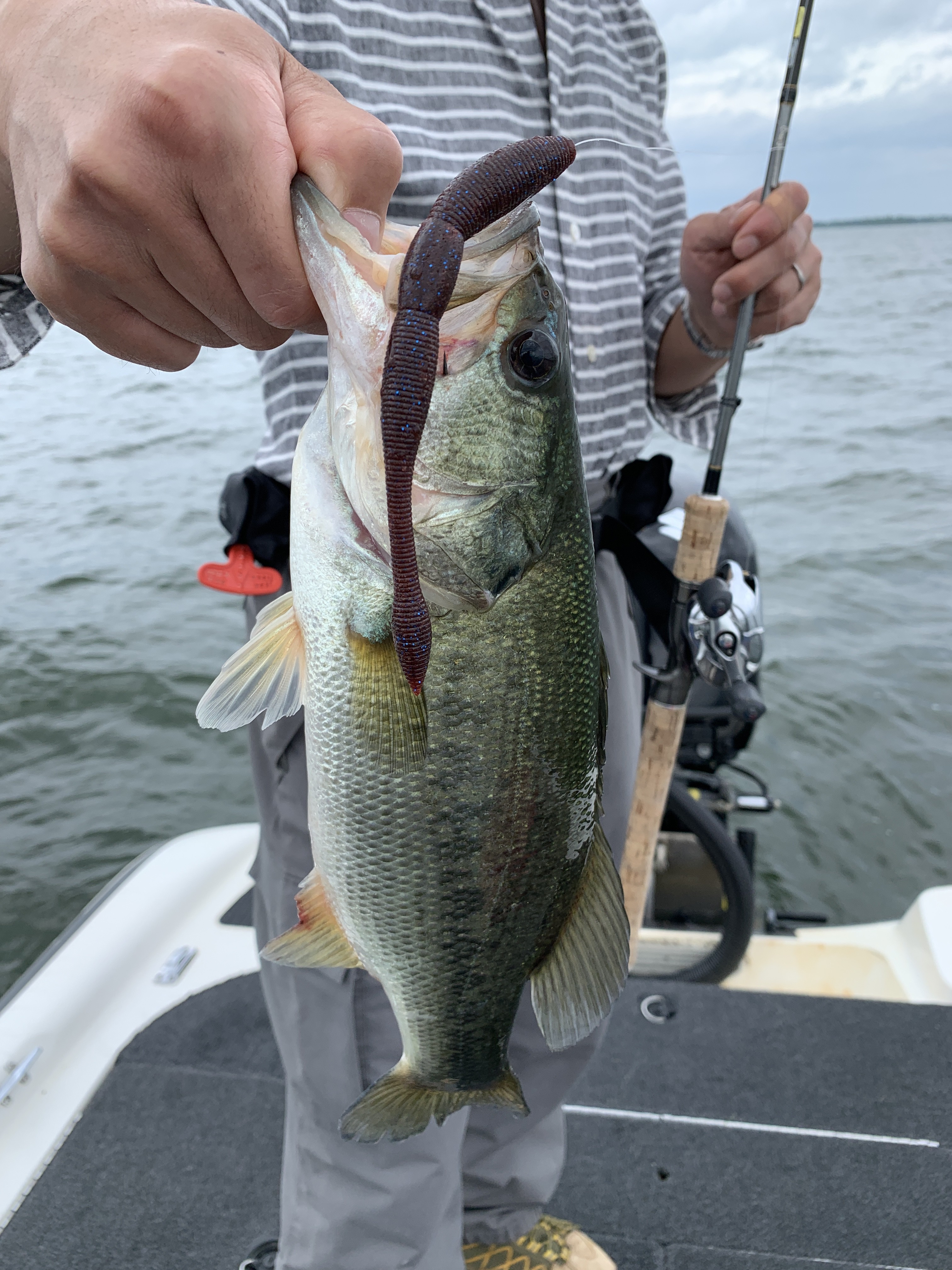 DF59AB98-7993-4206-B3BA-A3B22E9748D9