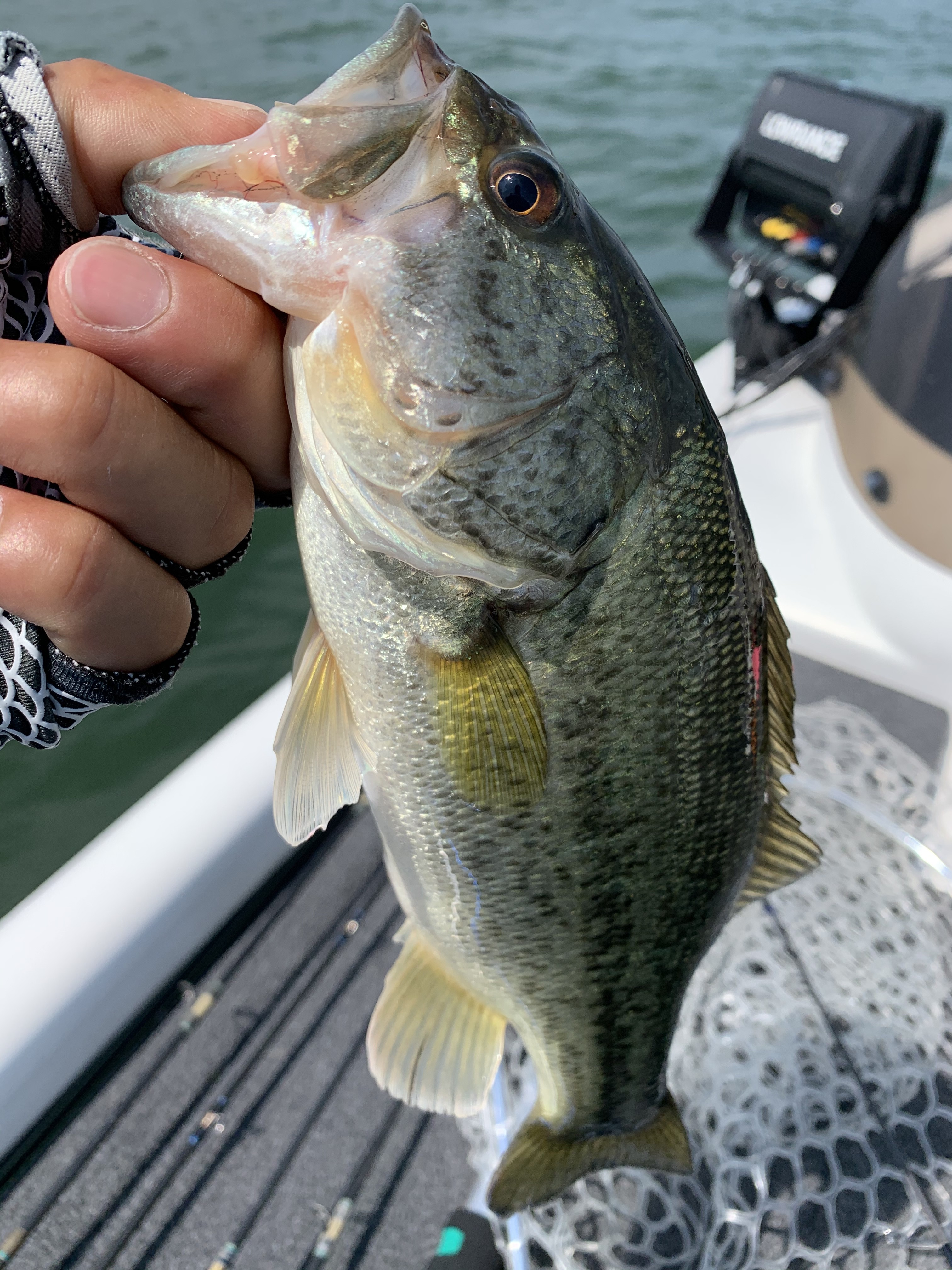 DF5CD465-D7E3-4FED-BF45-D2FC07CFEEEC