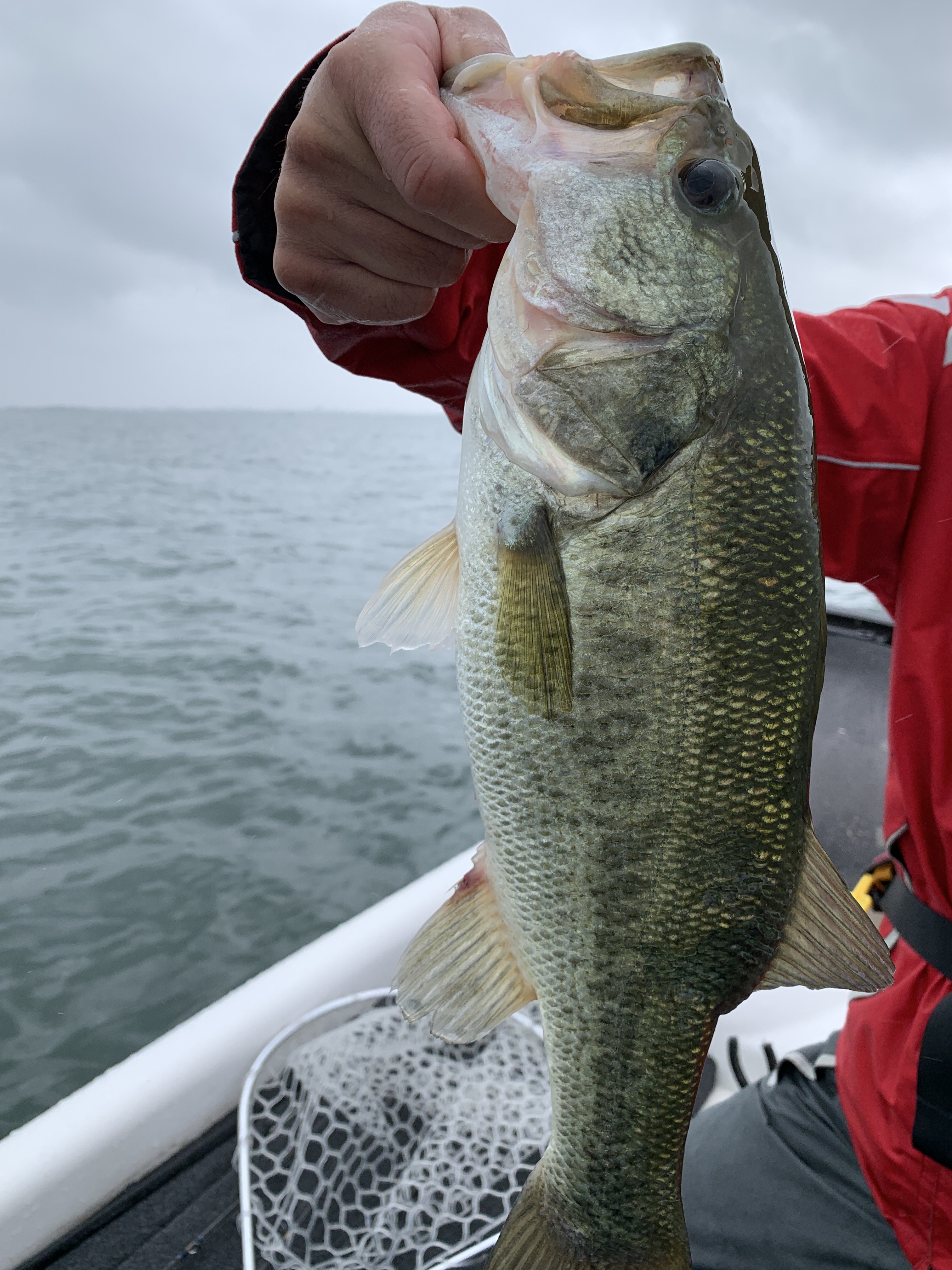 E737F642-3F5A-4C55-B2C3-6ACB5831A759