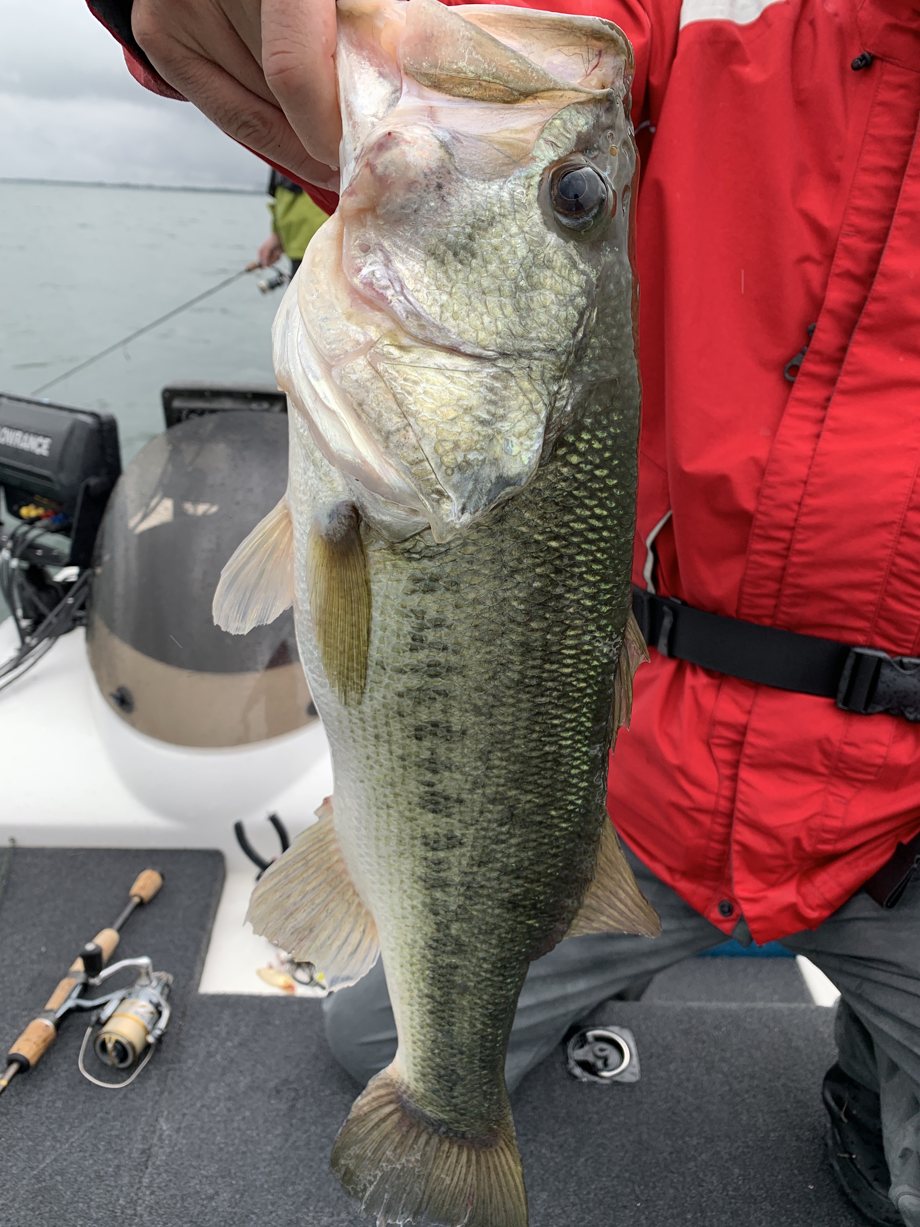 FC7CB412-C0EA-4E33-9FC9-C76F619CDDED