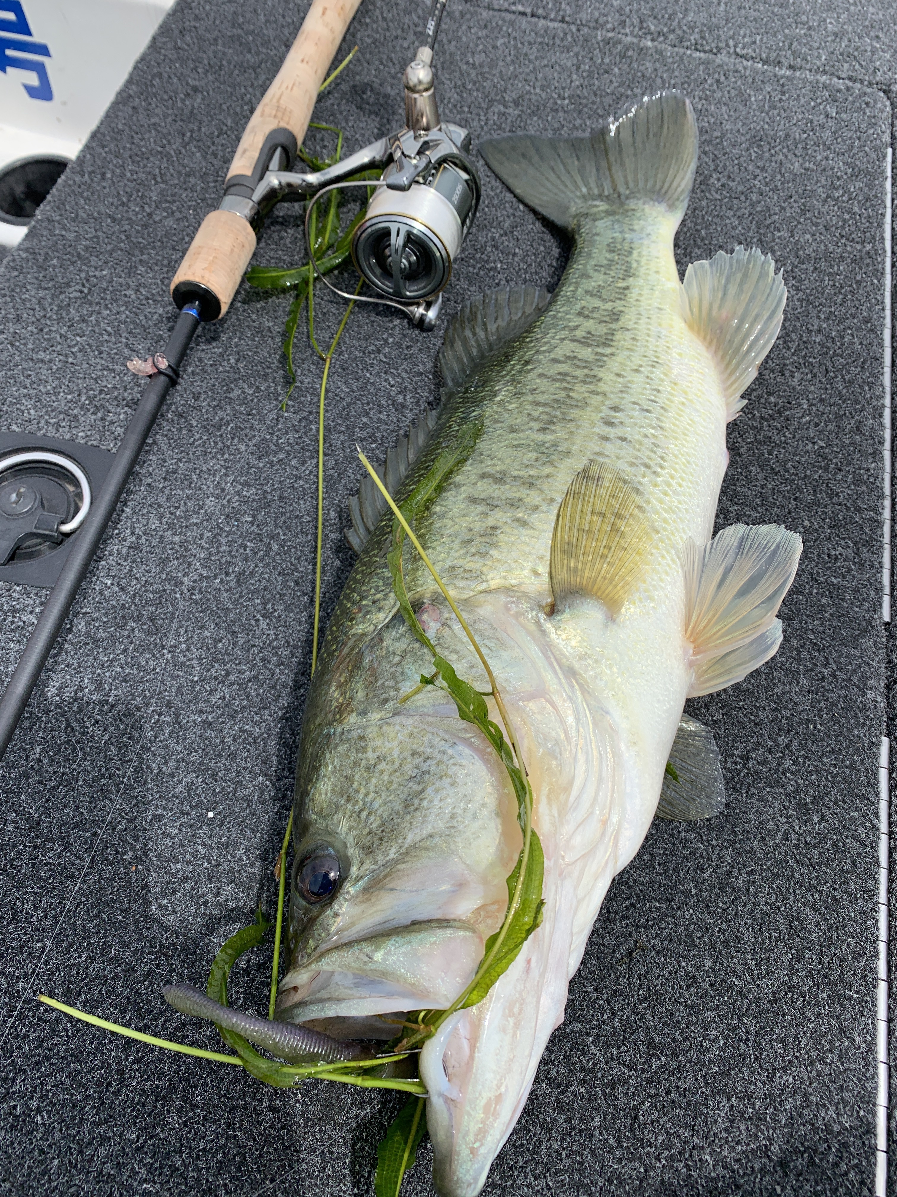 FC9E4006-1160-46AC-AAF1-06814175324C