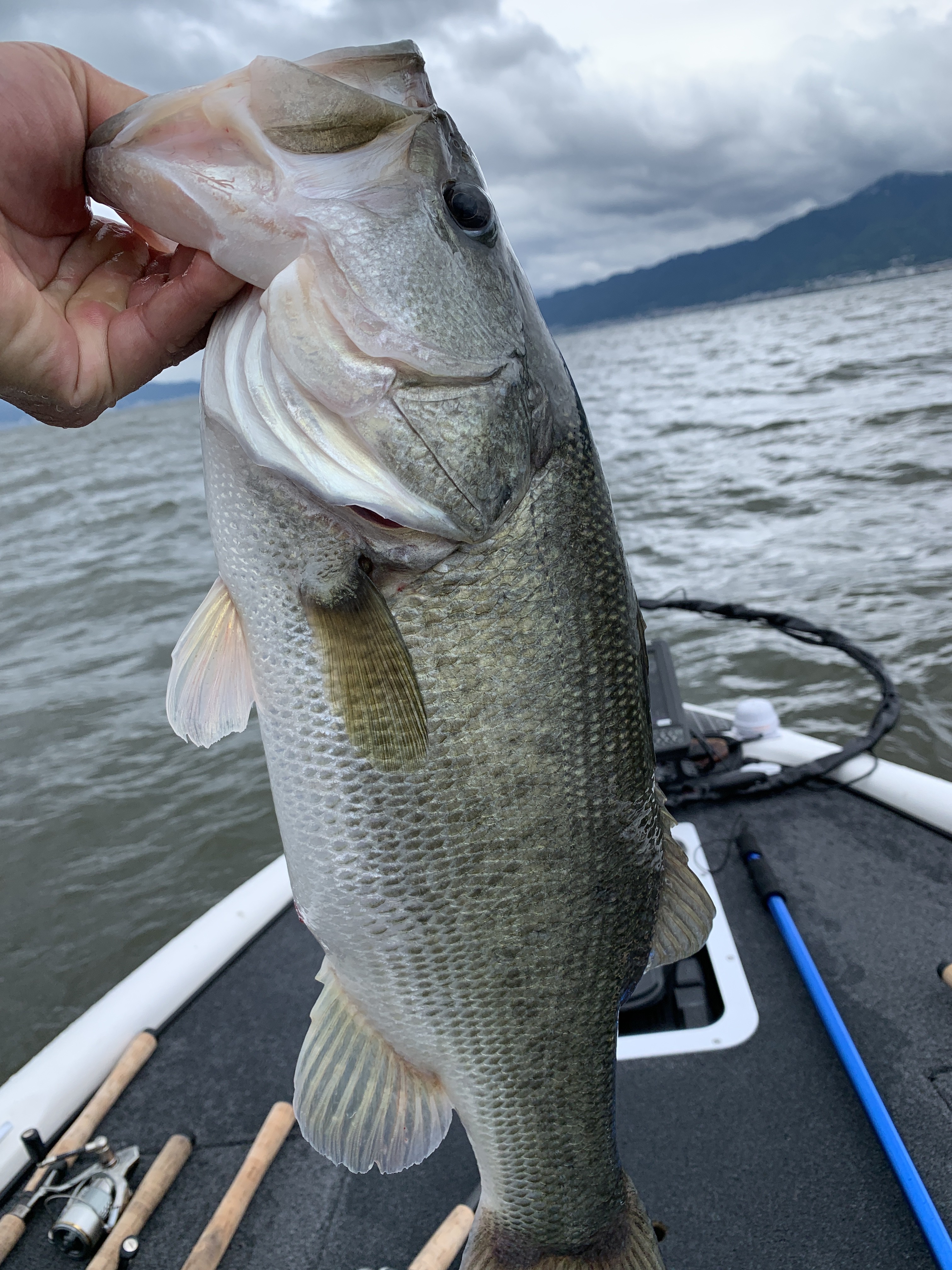 096297E1-7992-49A9-9346-43CF8F20023E