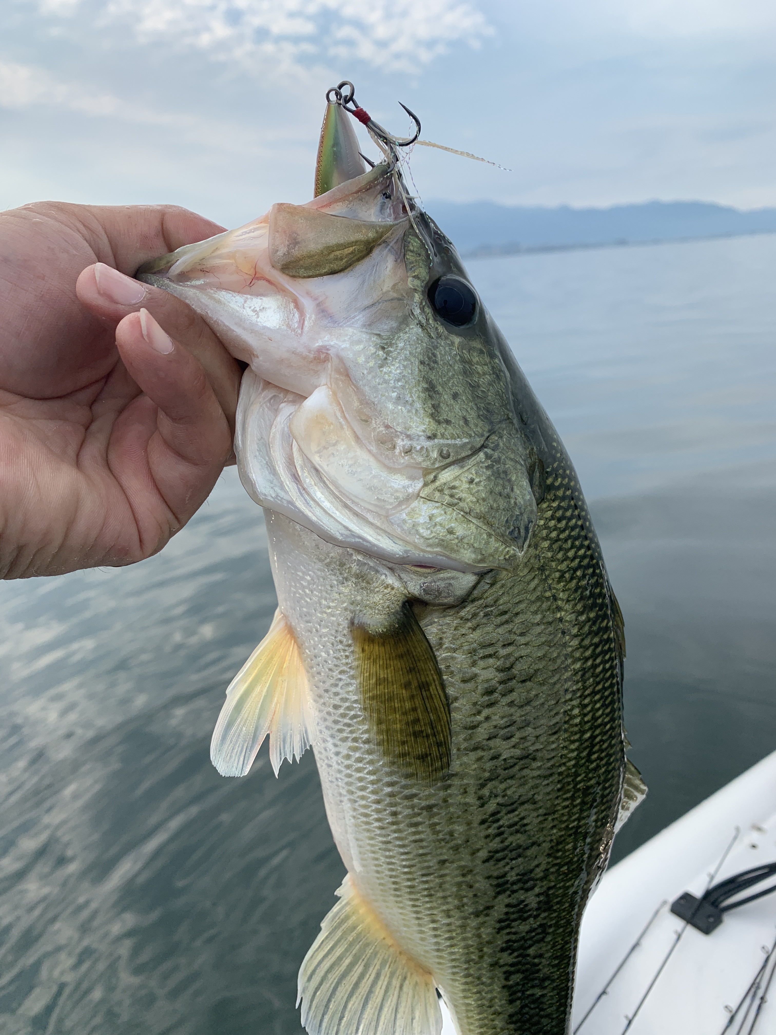 0998739D-B571-4378-85F7-99D2A94350D8