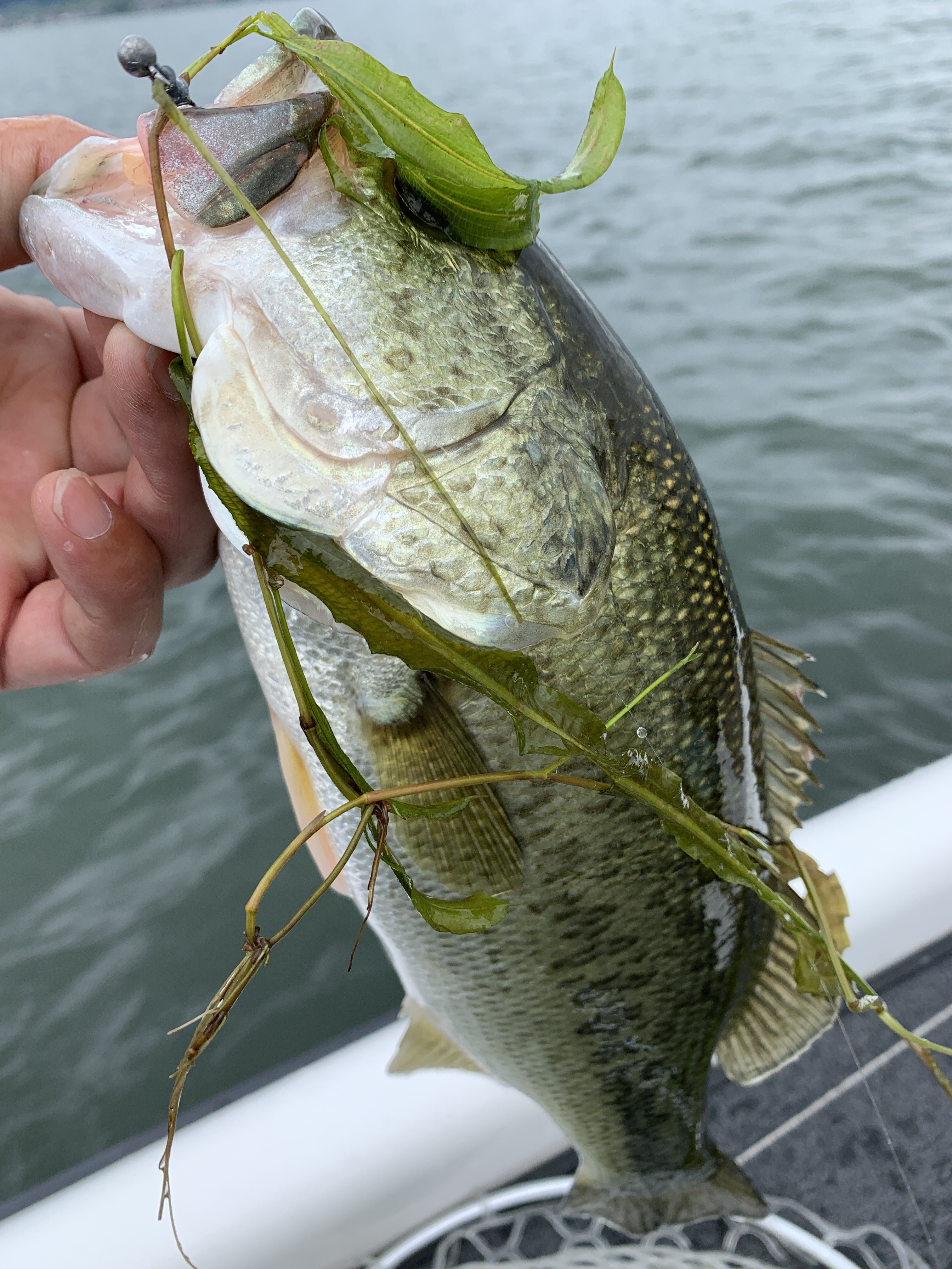 160F6333-99FC-4EF3-8A2B-B1D7D84B80CB