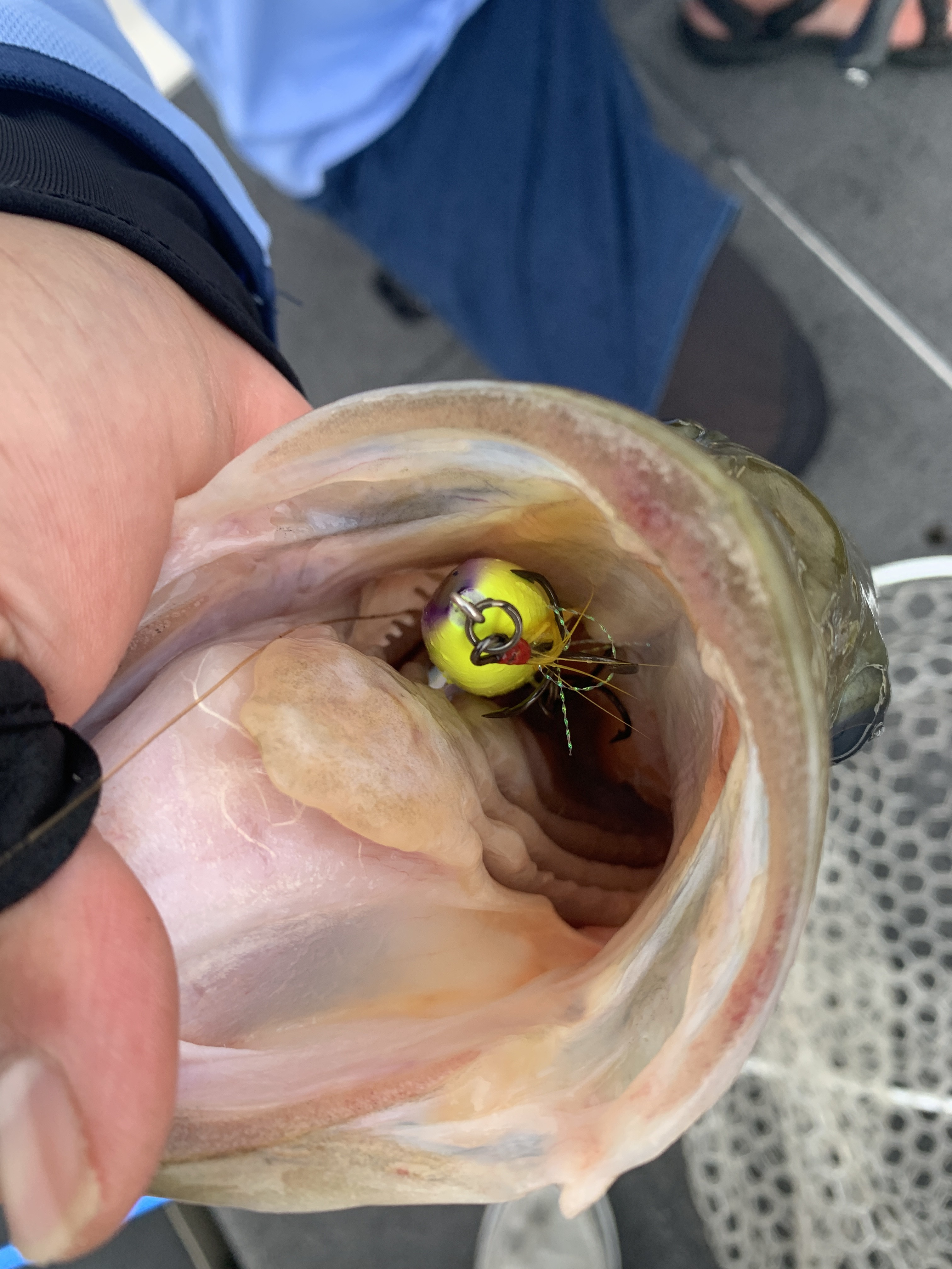 1D3C2FB7-F07B-4C12-A33B-5EA517ADAD8B