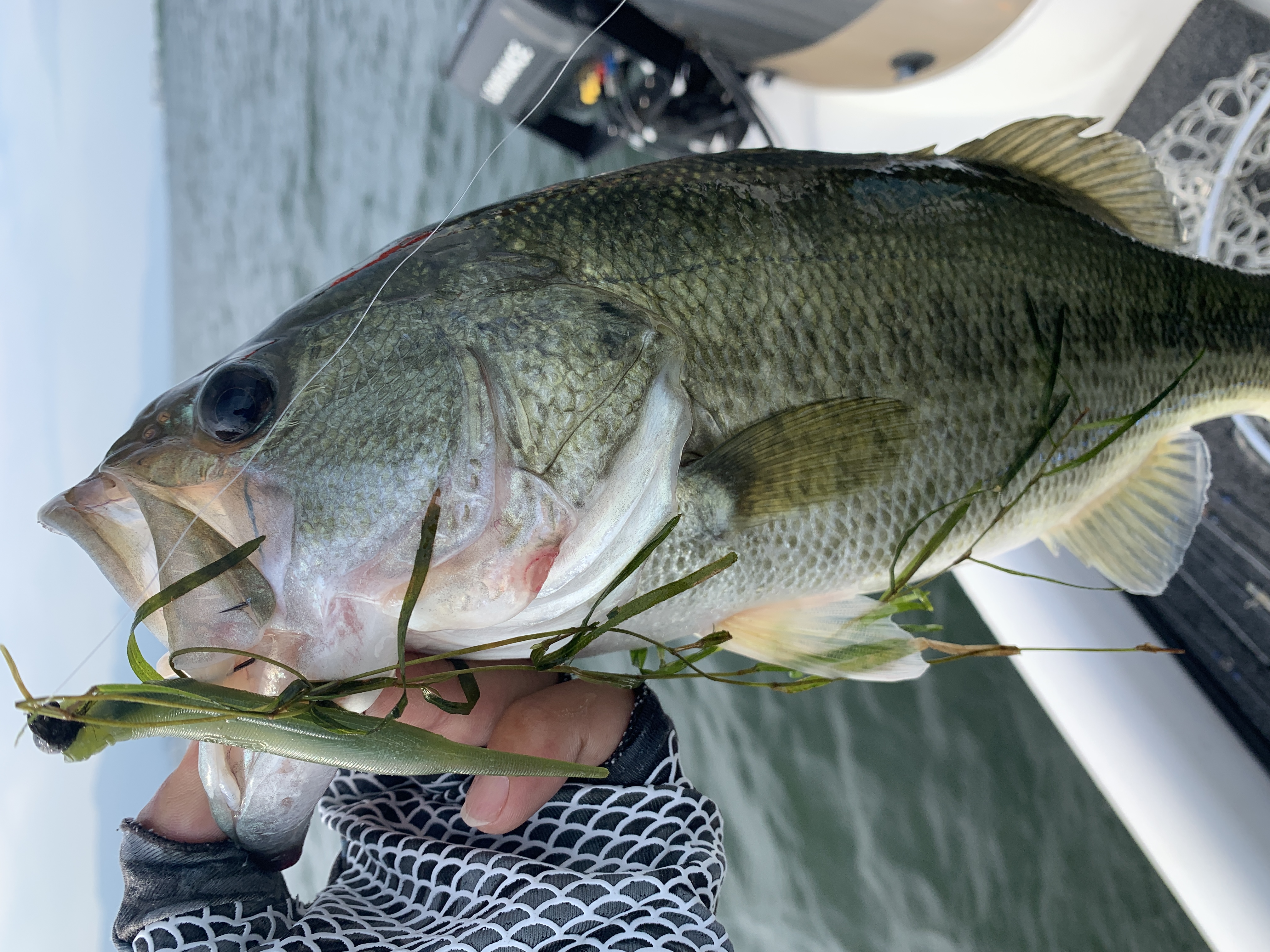 2804EBEA-BAF6-4E1B-A18E-330139C59A2E