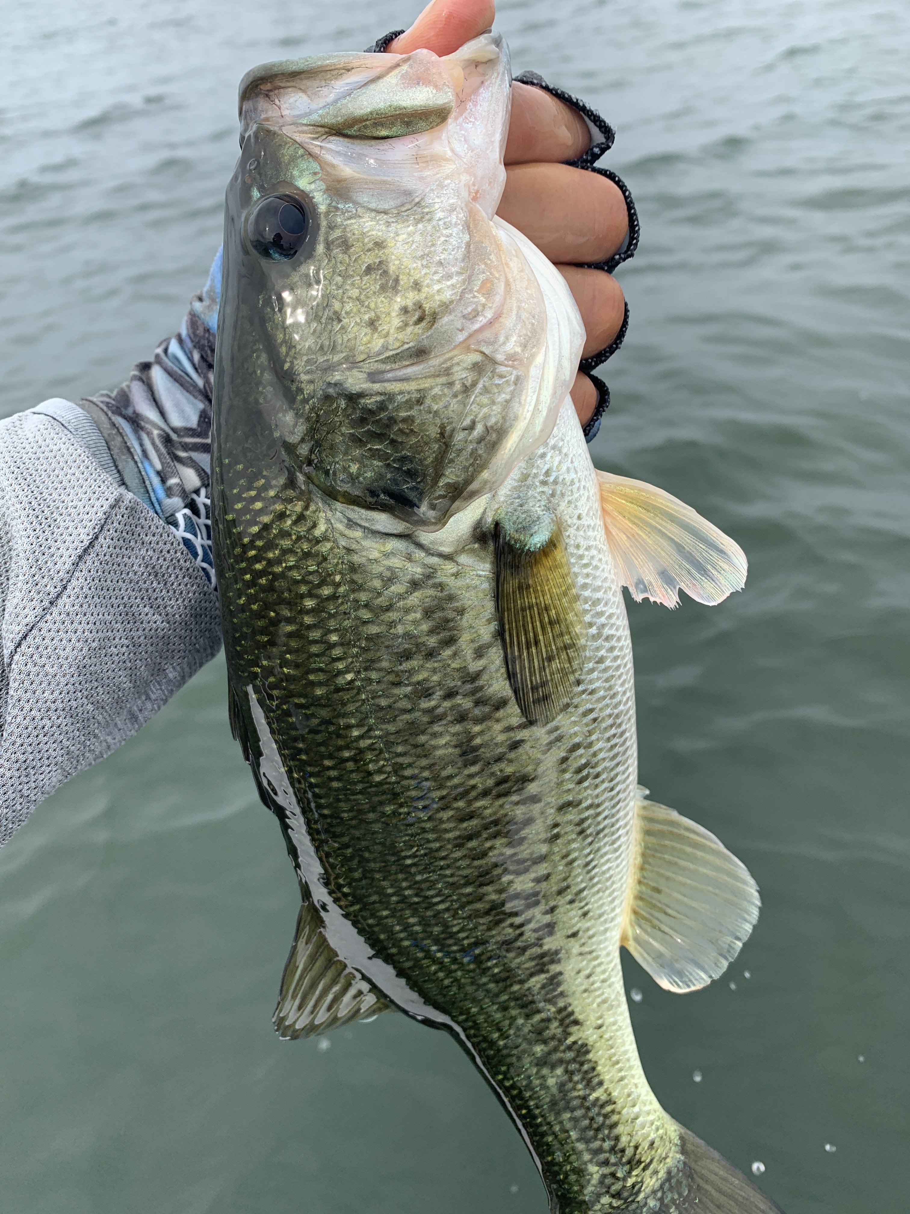 2A056973-760E-428D-A17E-092885680BA5