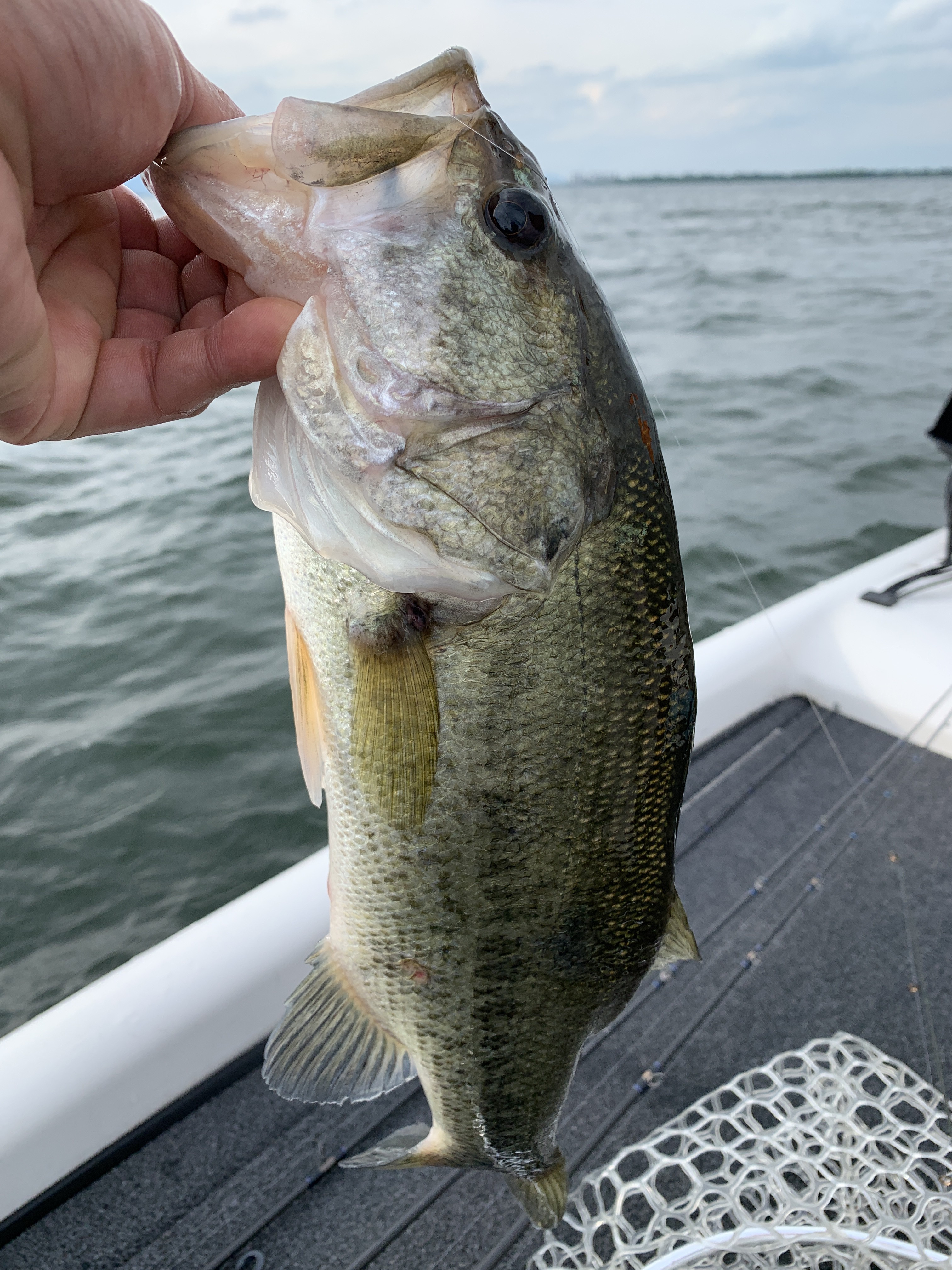 2ADDE75F-C275-456C-9C11-B7FCF4E97DE7