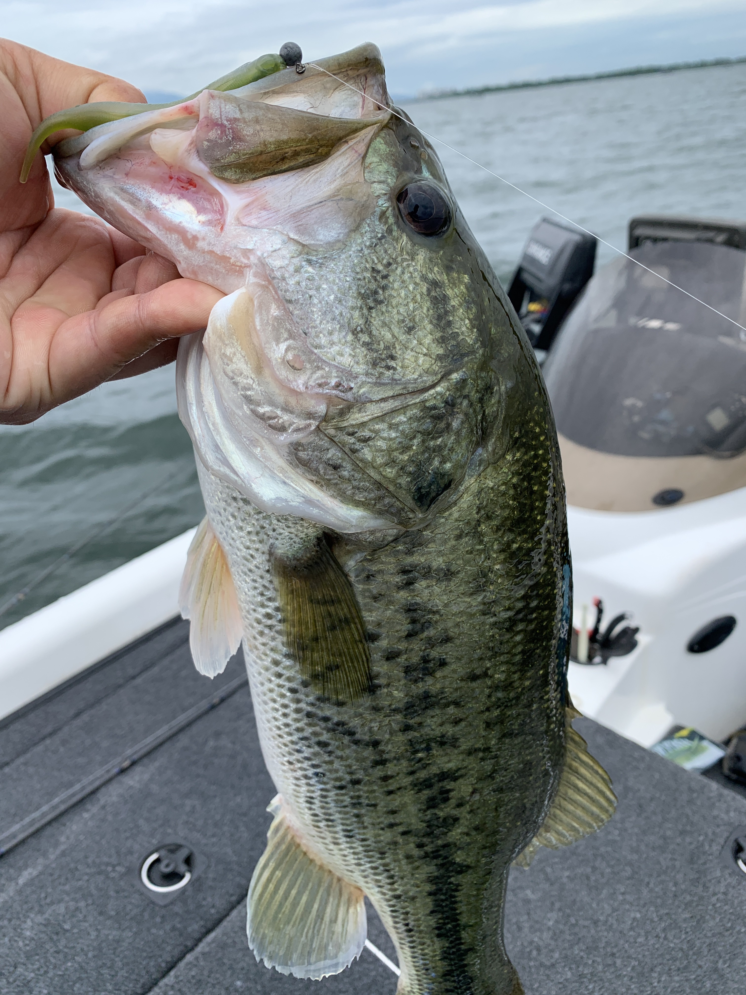 31A837DF-5092-4921-8772-CCDBBB88AE78