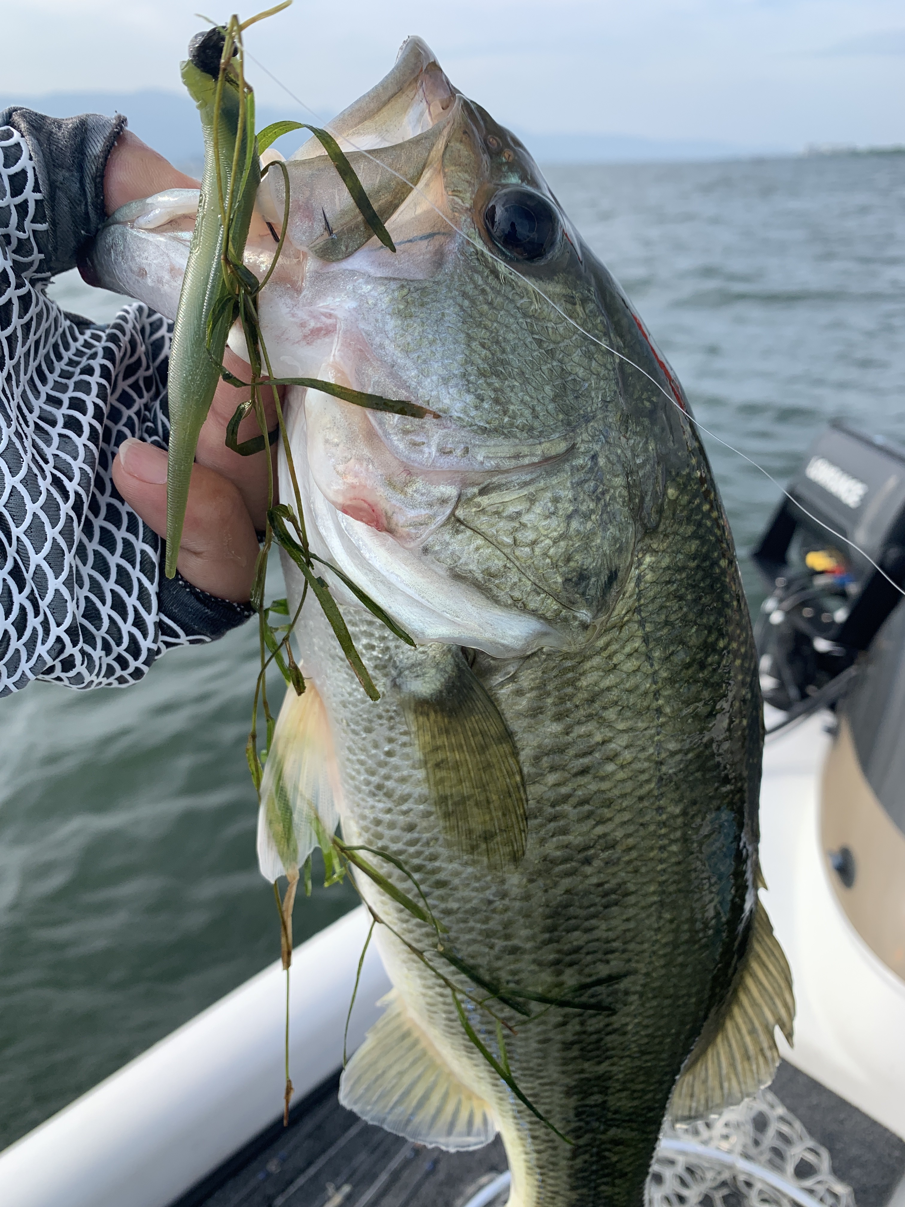 321285C7-9D20-458F-BFB0-FE7F3C006289