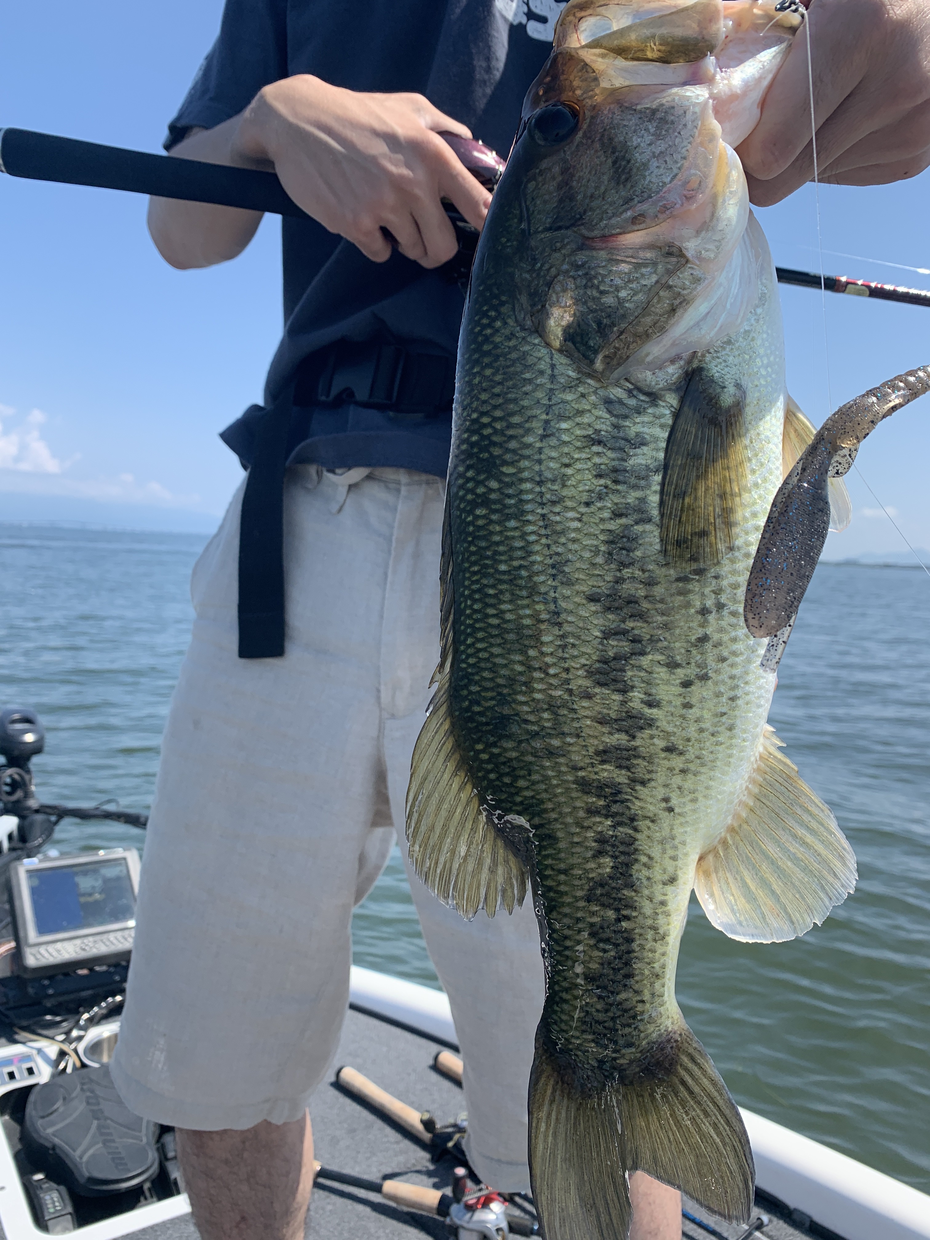 38D98C2C-AA0C-47F2-A8A2-9475D42822E1