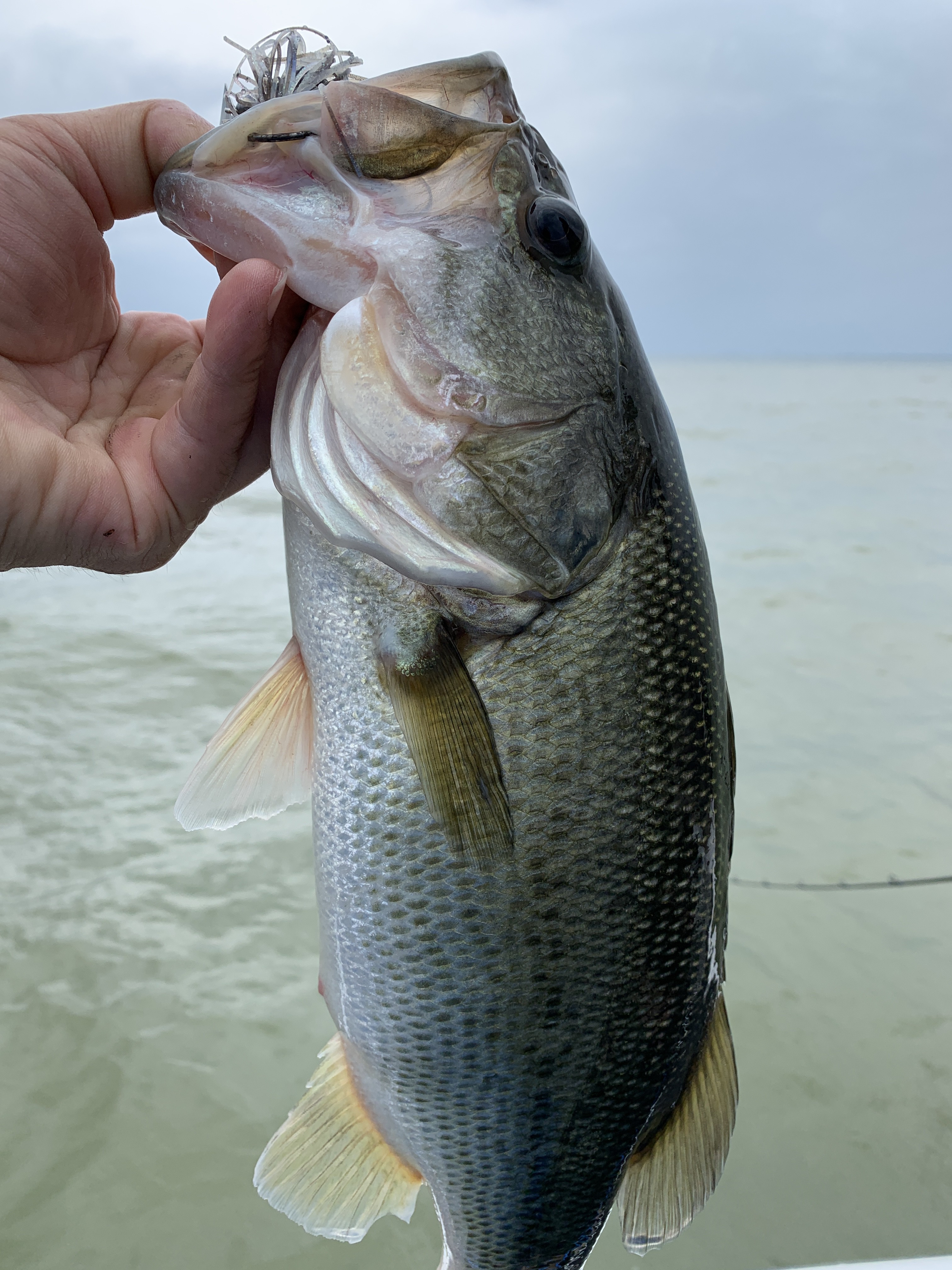 4316D3CC-084E-4380-AAEC-468ED9E94C6A