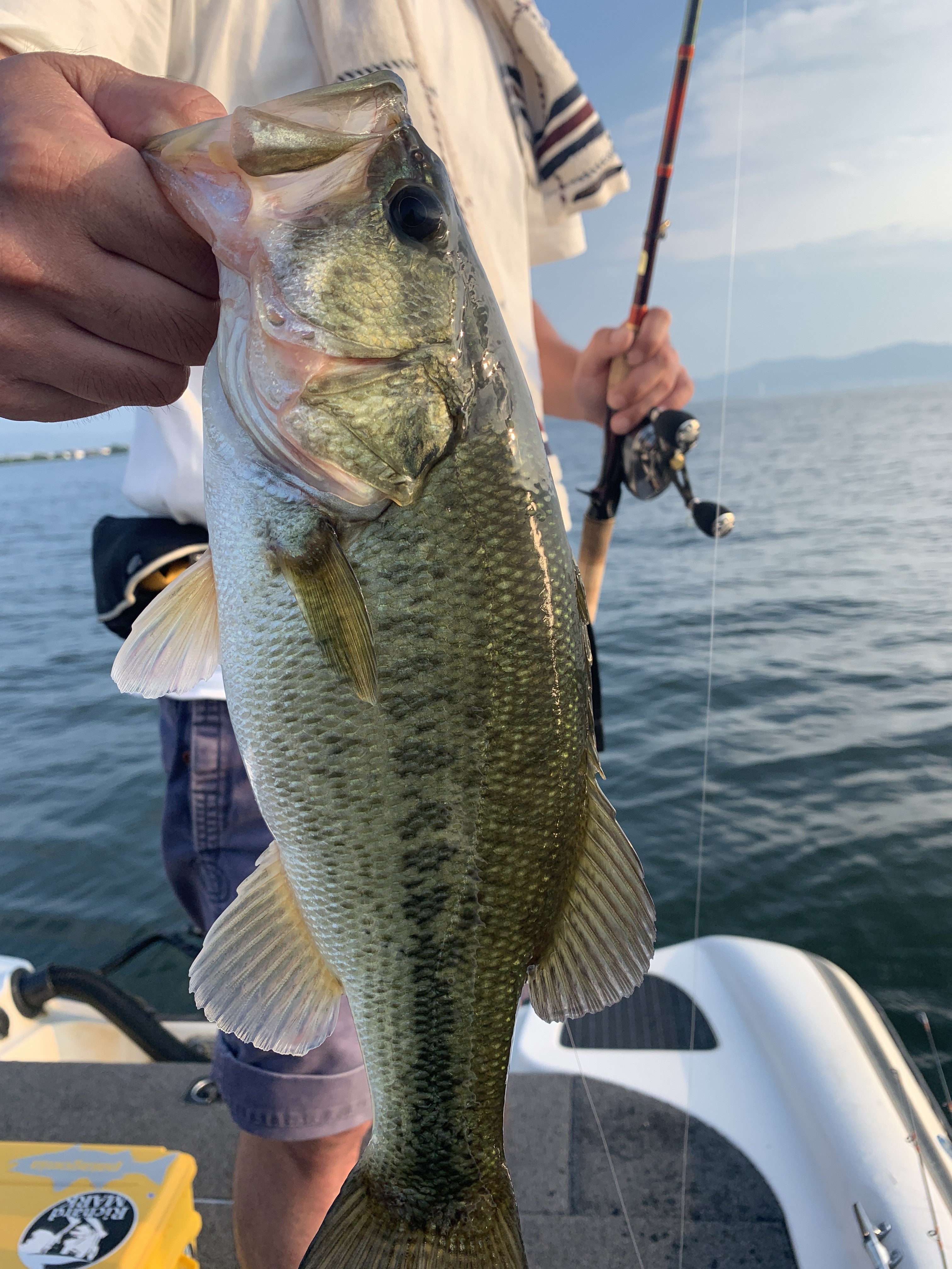 46E14367-C537-4C00-A3F7-4242B37203C9