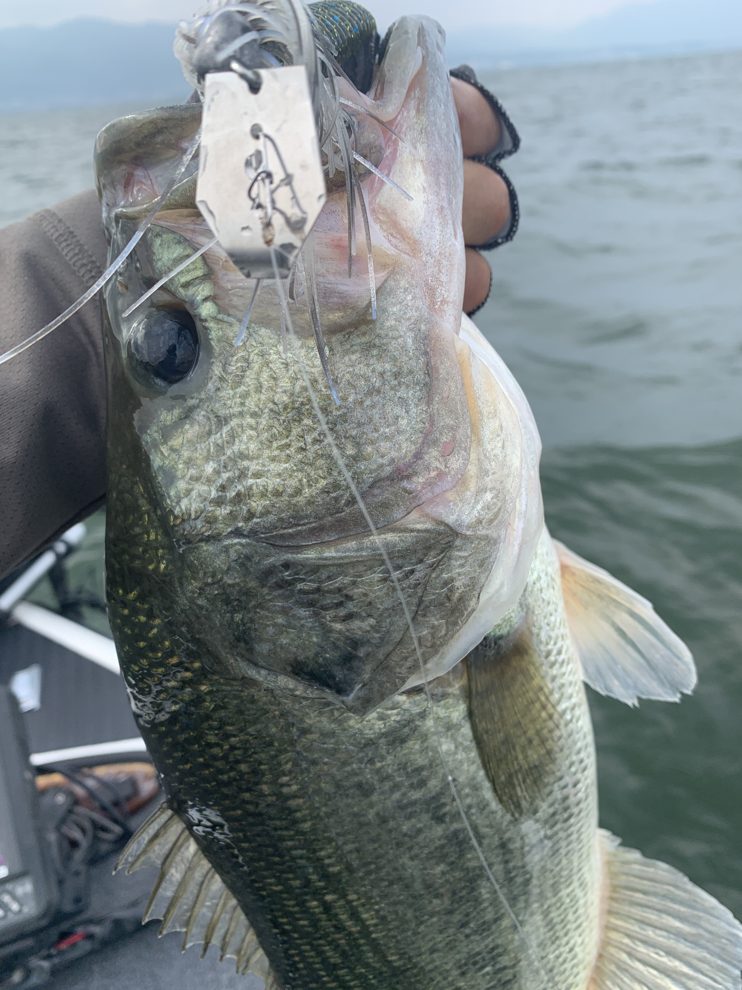 5436E9A2-605A-4C1E-AE1A-E255DF16B0B8