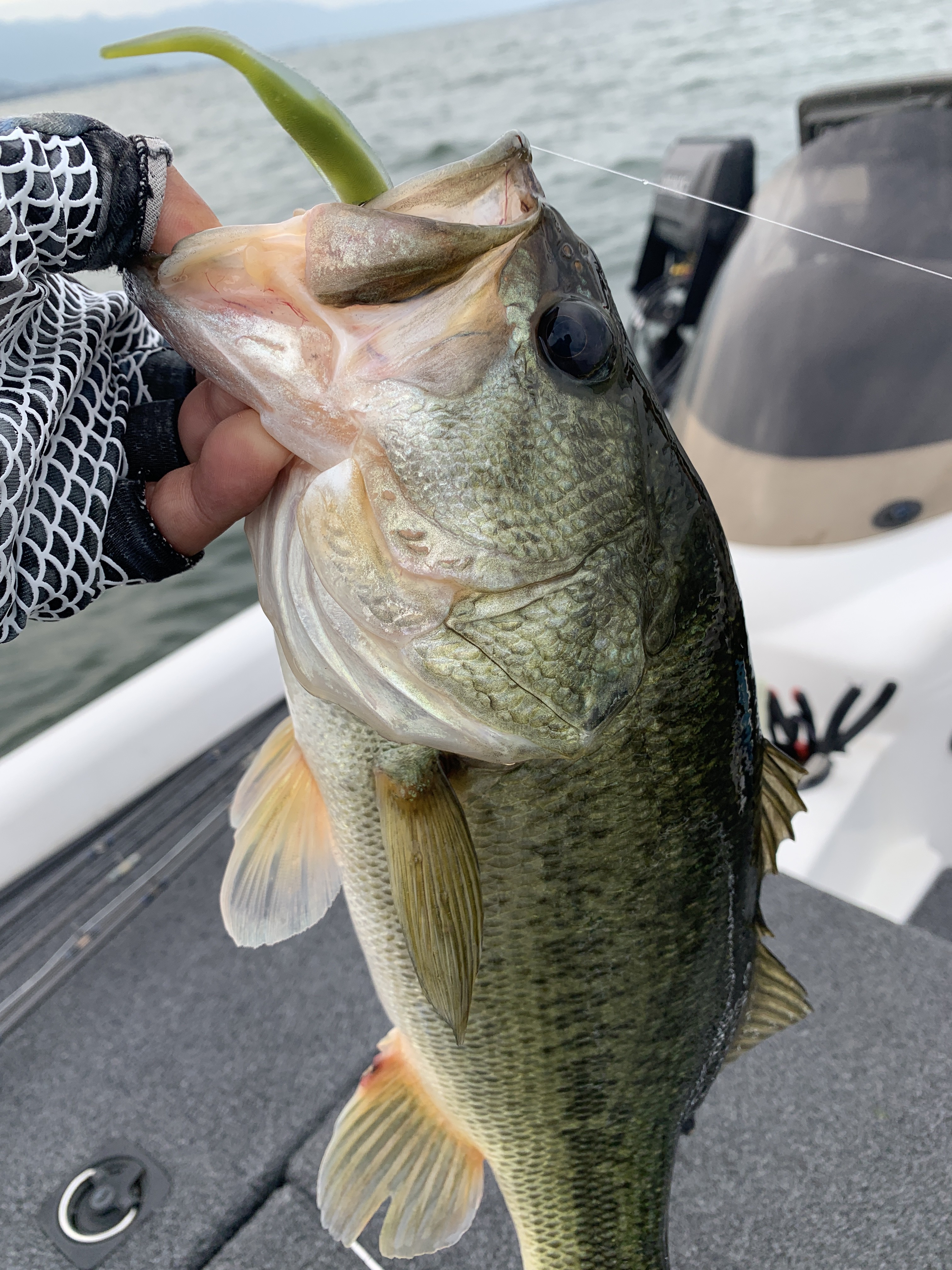 59EFB430-C50A-47A5-81B9-B4E5B593C736