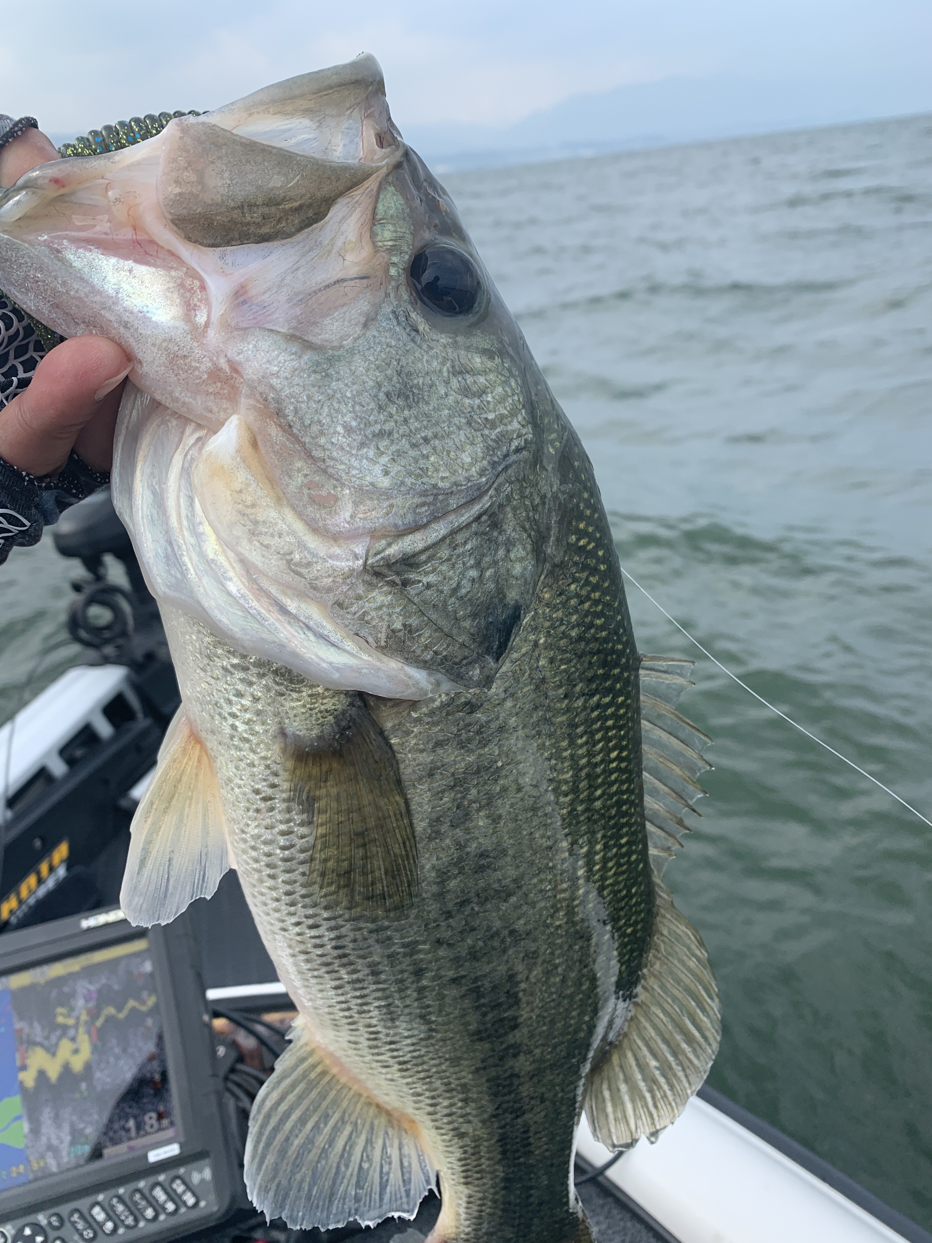 5E39CE23-8662-42BE-BFD3-084E297A6126