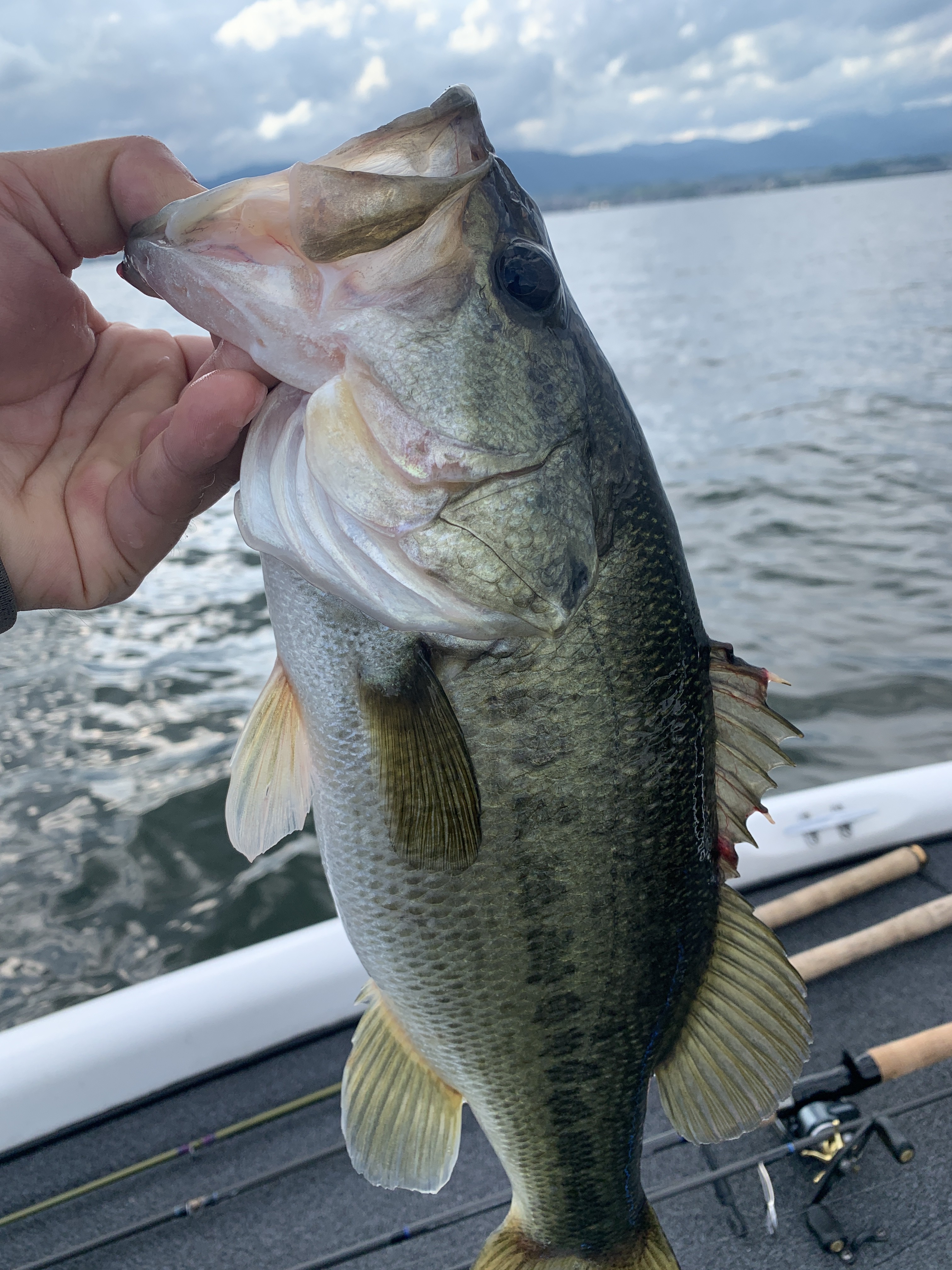 6457055A-E889-4C09-BF1C-34557AF7A4CC