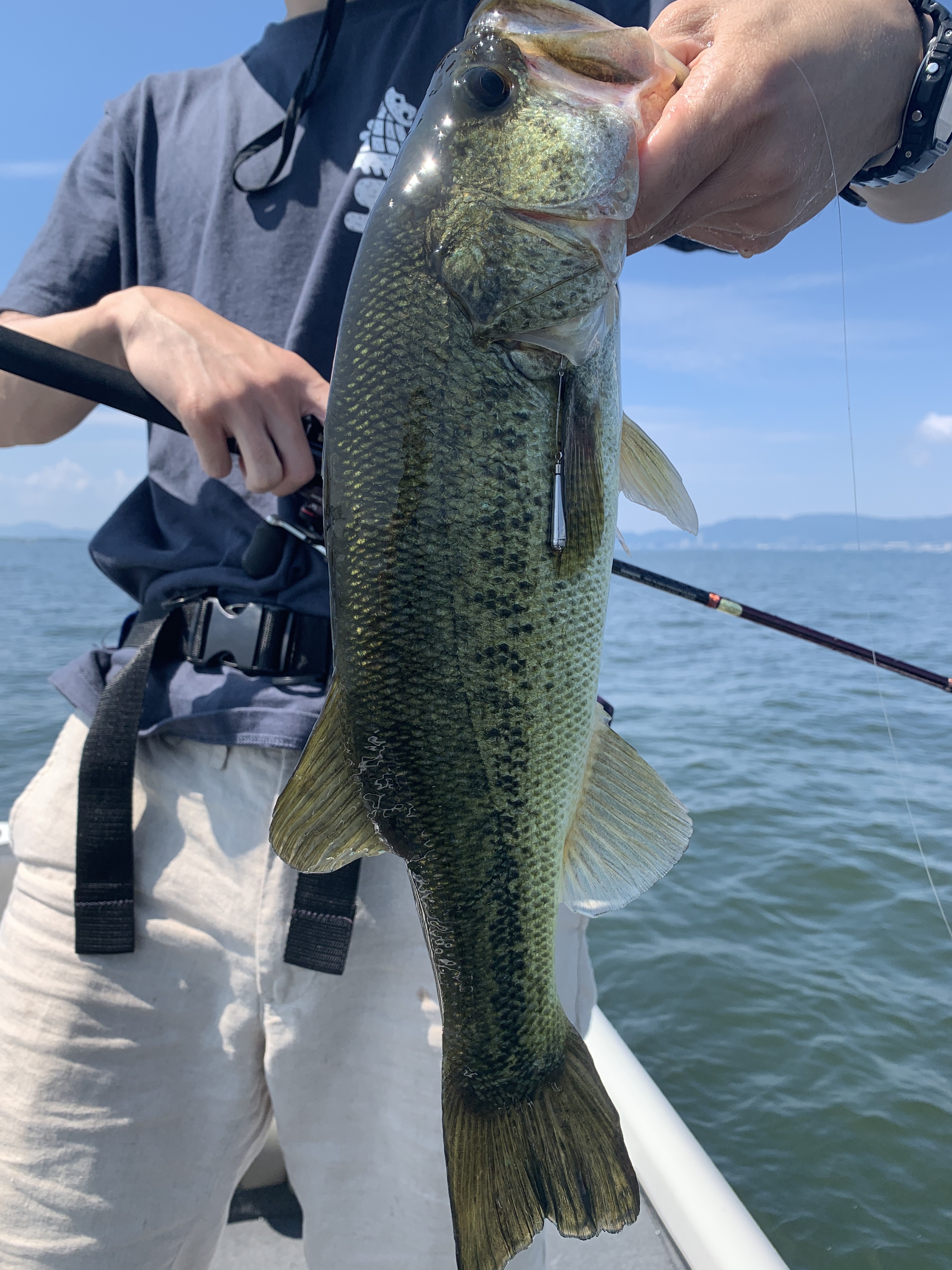 650B2A2D-BC0B-4ADD-B9E1-64C0E23A6FC8