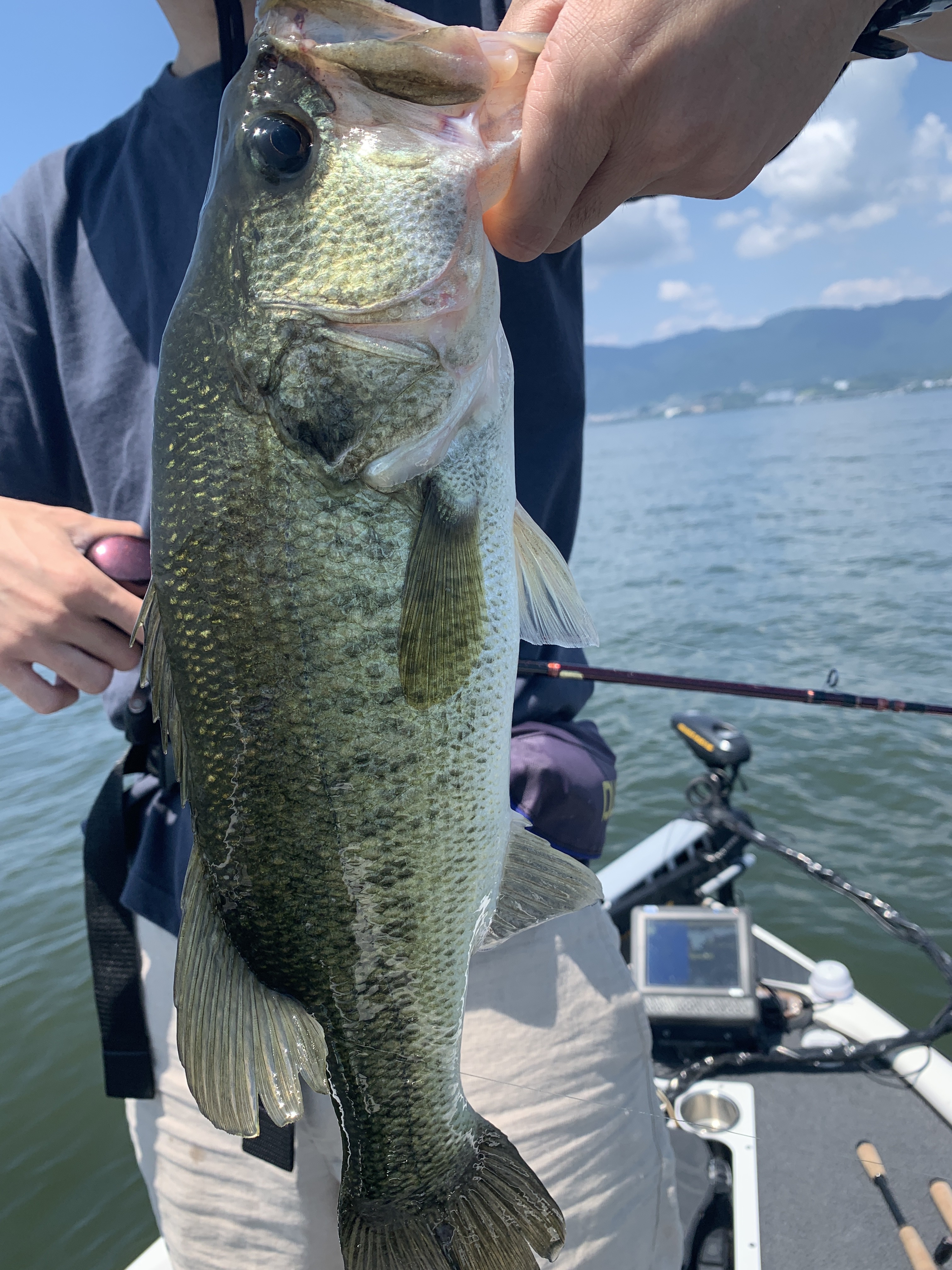 6EB2A46B-243E-4F6A-A4B3-22538D972579