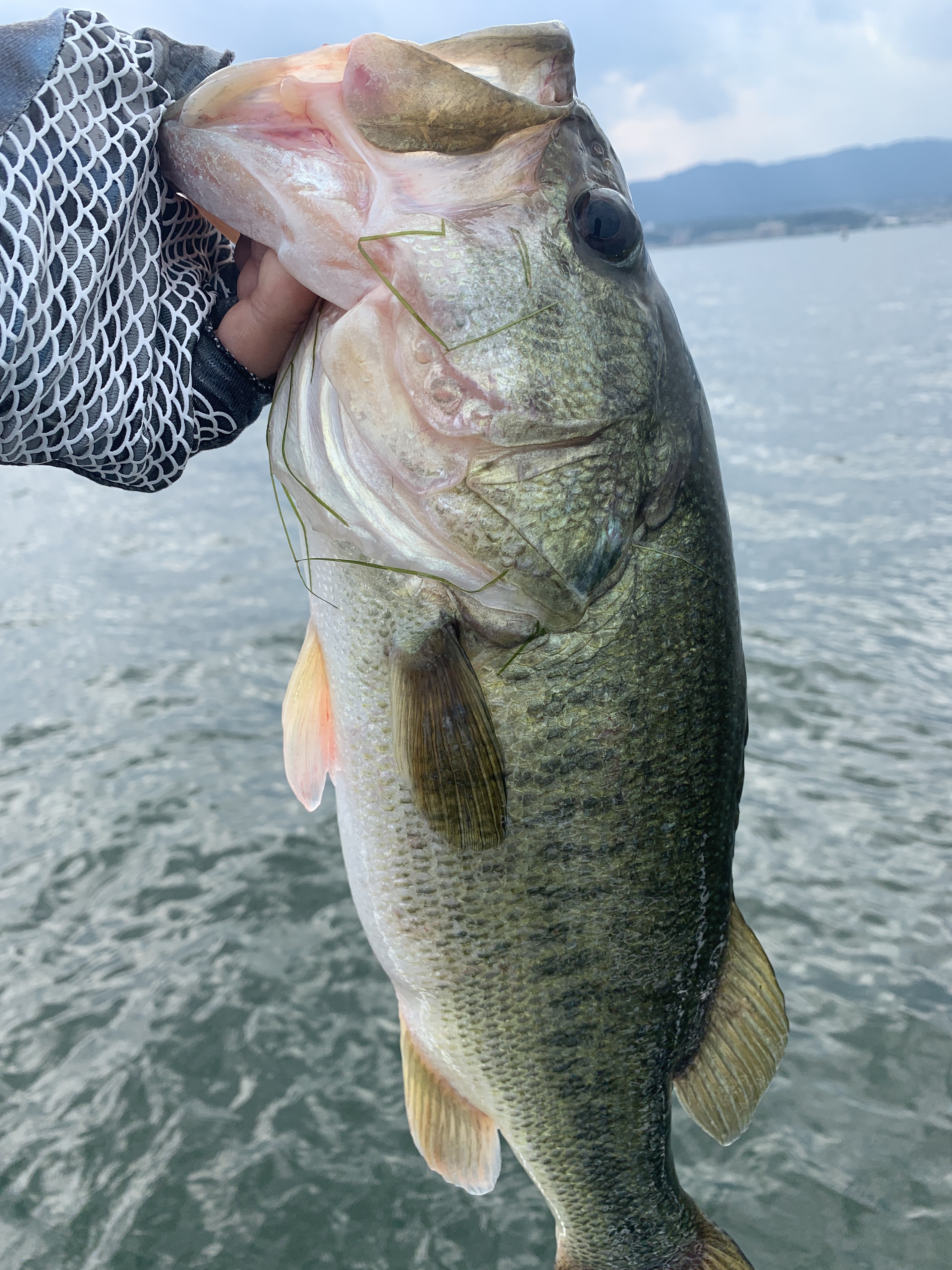 758010EA-5135-49E1-AE10-FDCCFC1DC6BD