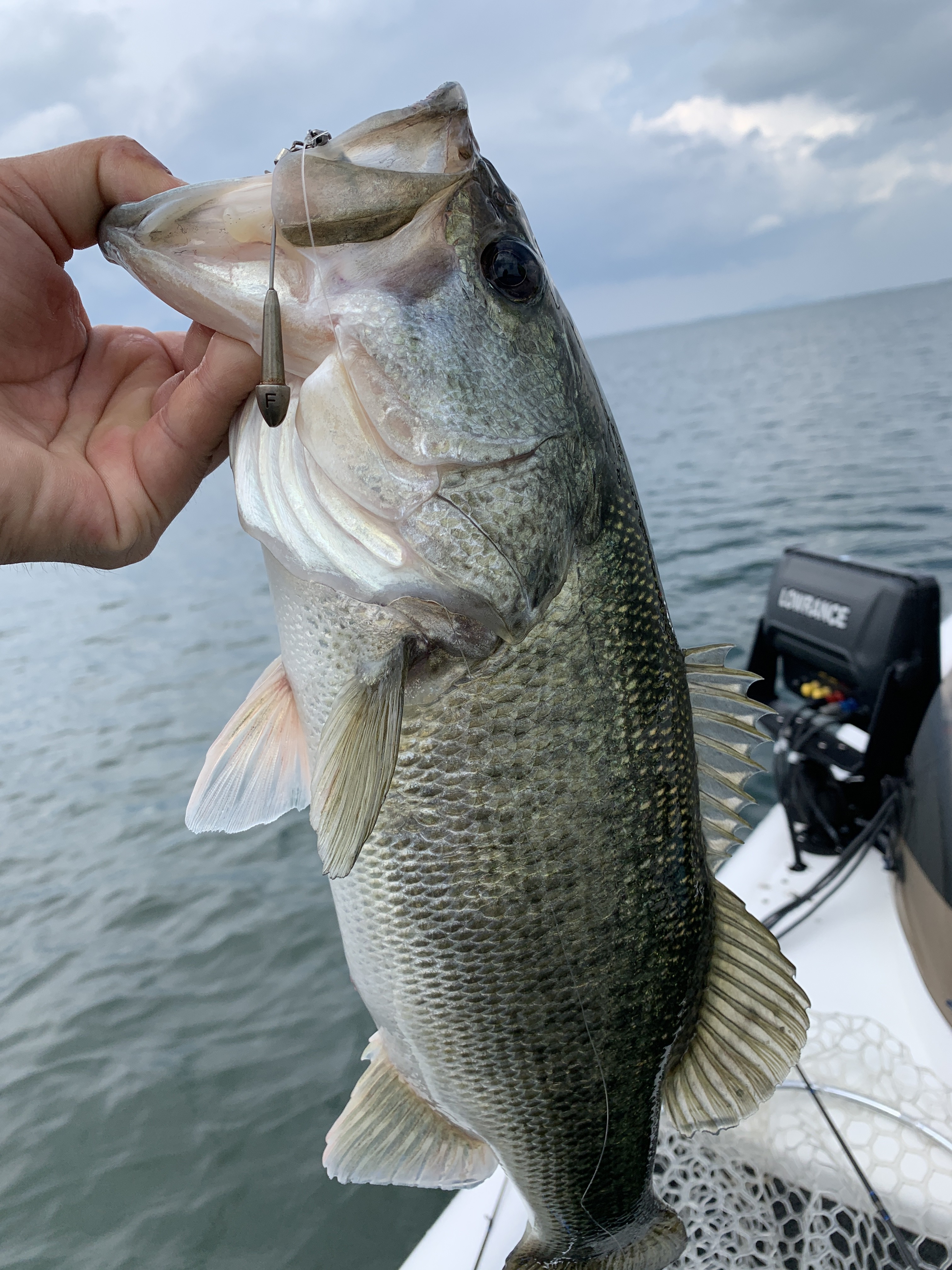 81E50149-4E27-4A3C-B7EA-70267ABFB10F