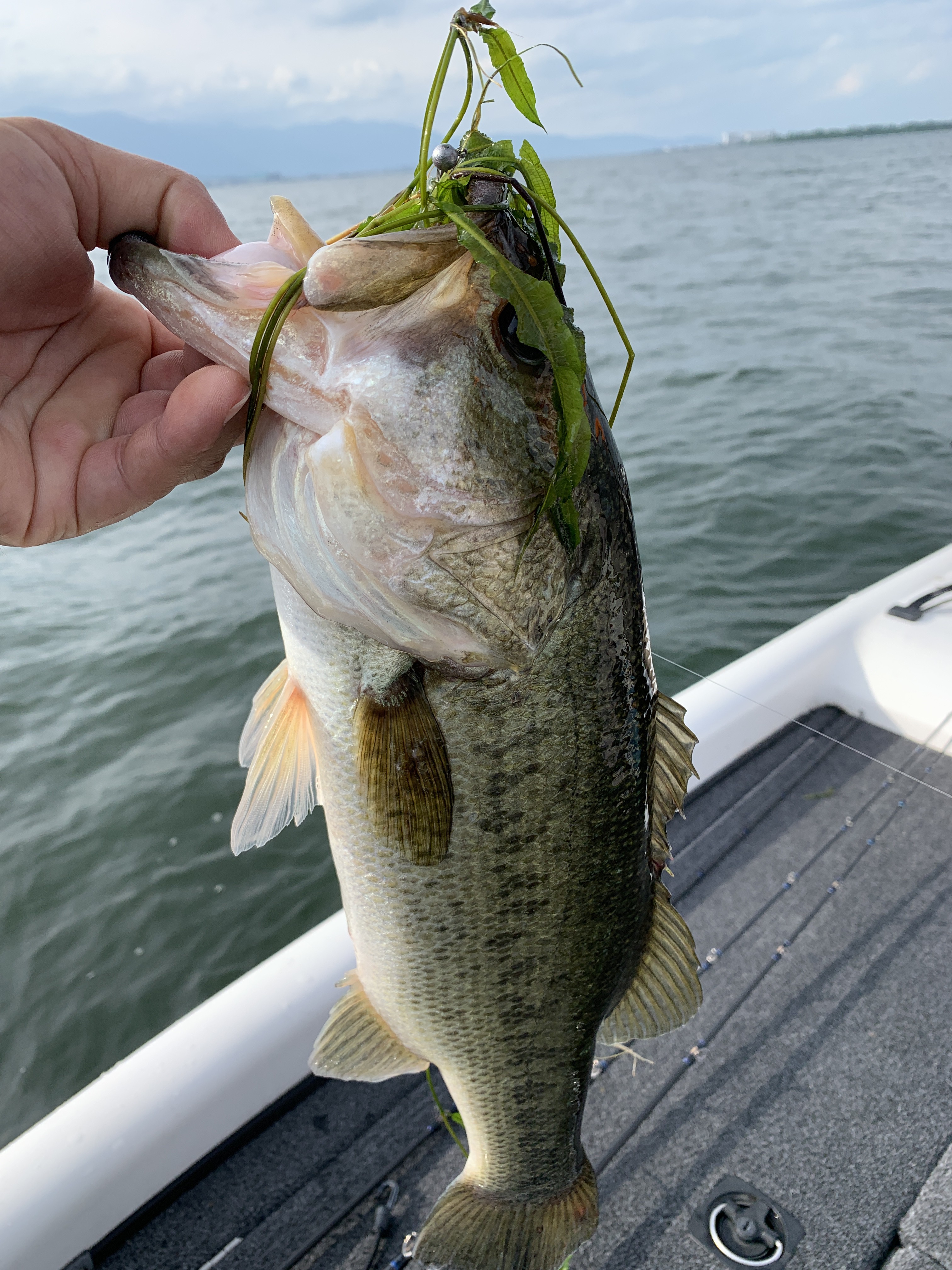 956CC7CF-CC91-4BAF-B829-8568E359EE72