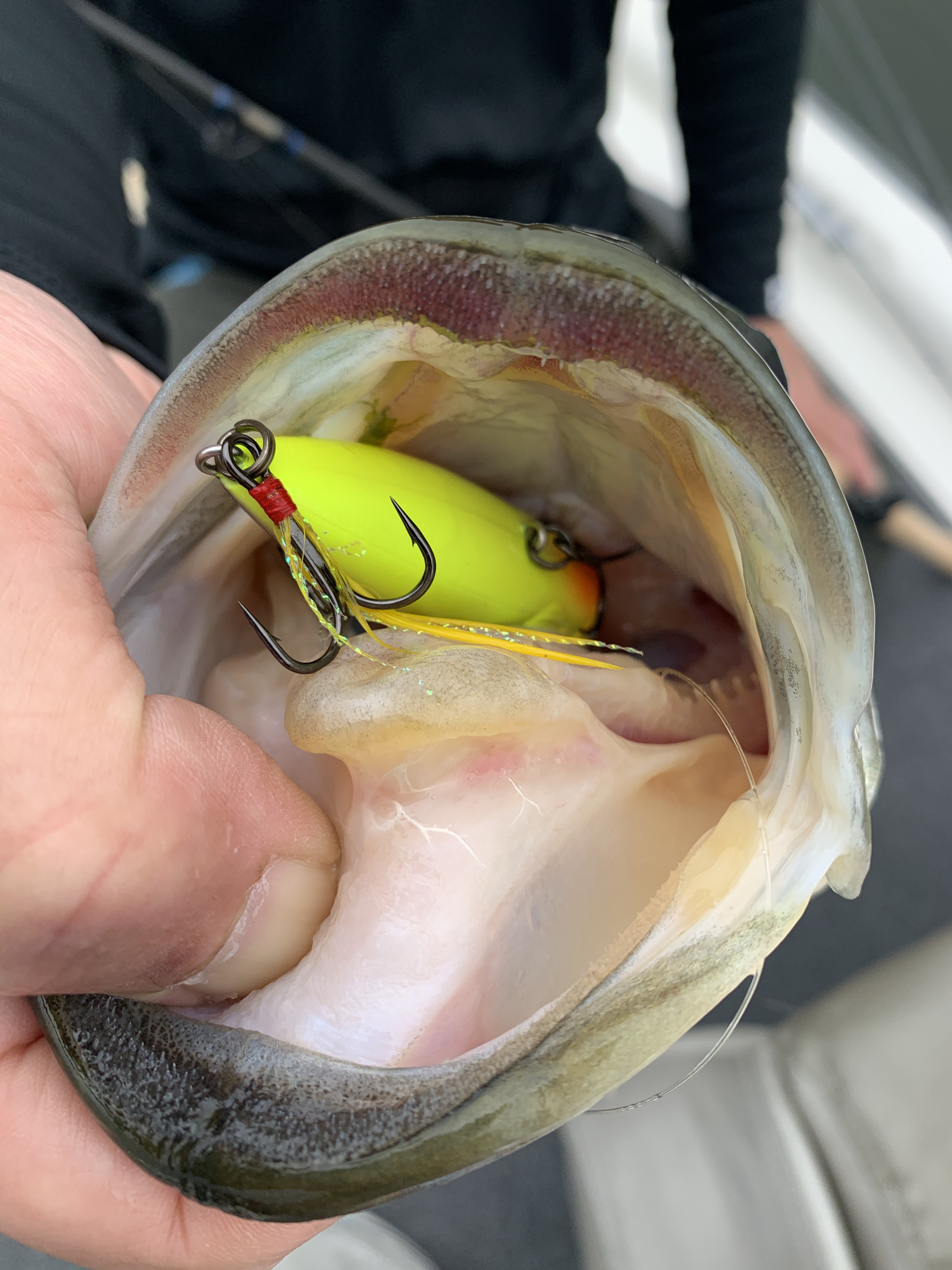 A6E73FBA-E9F0-4AD6-8F3B-5CA35E1E561B