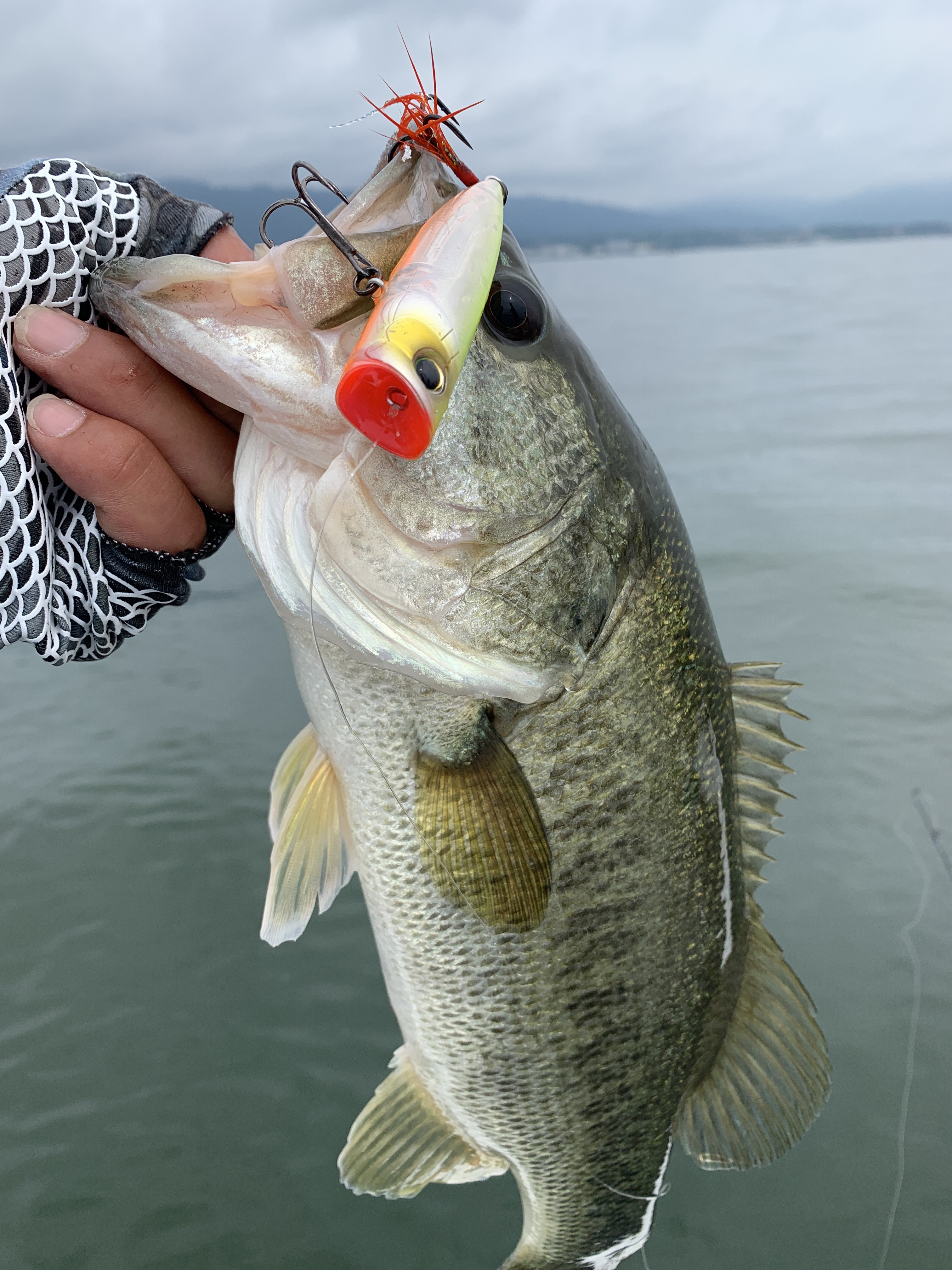 ADA4DF18-E796-4D68-AF0A-E98B2386046E