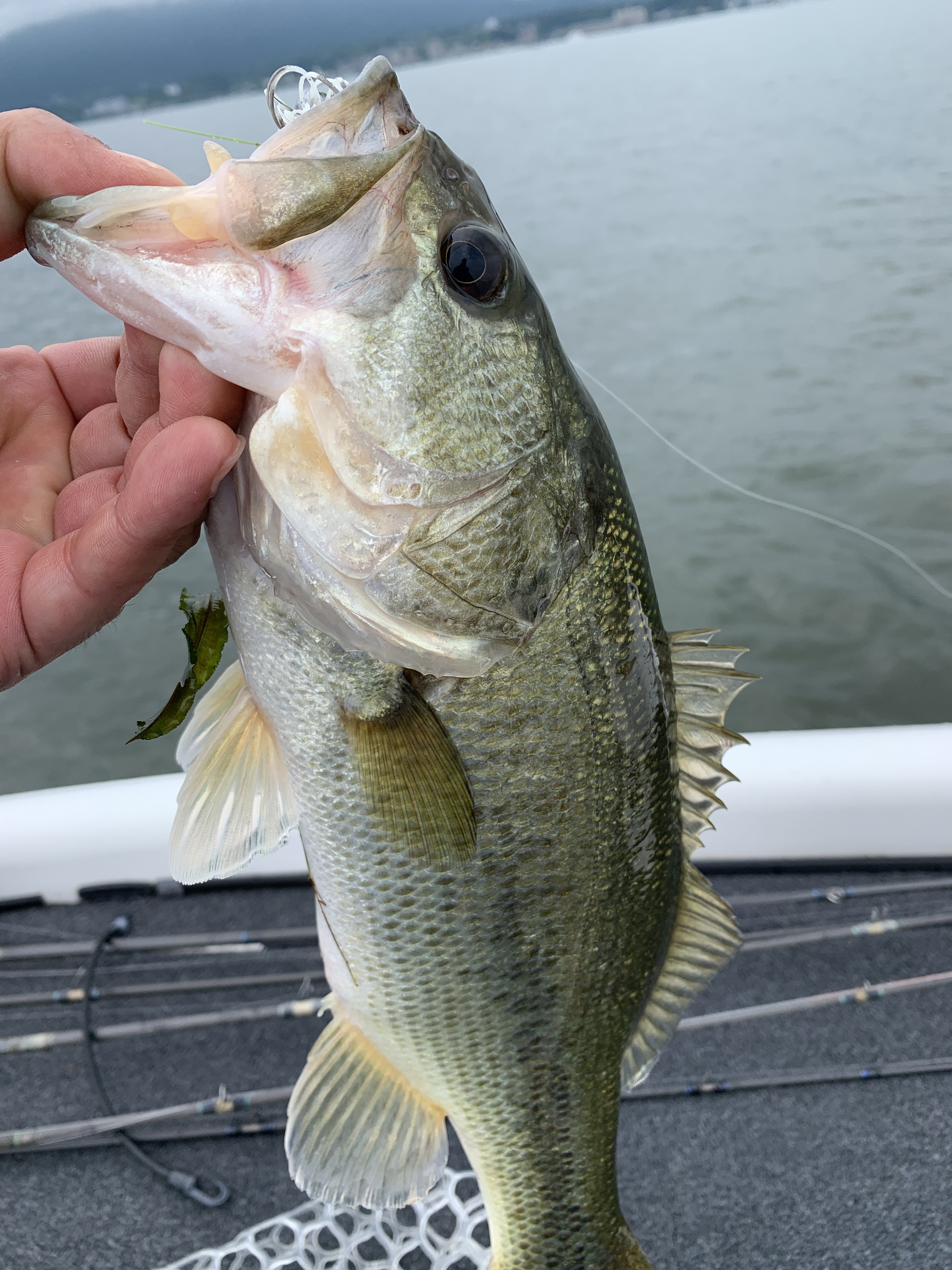 B3514A30-5247-49E1-BB96-B4E218DAEE36