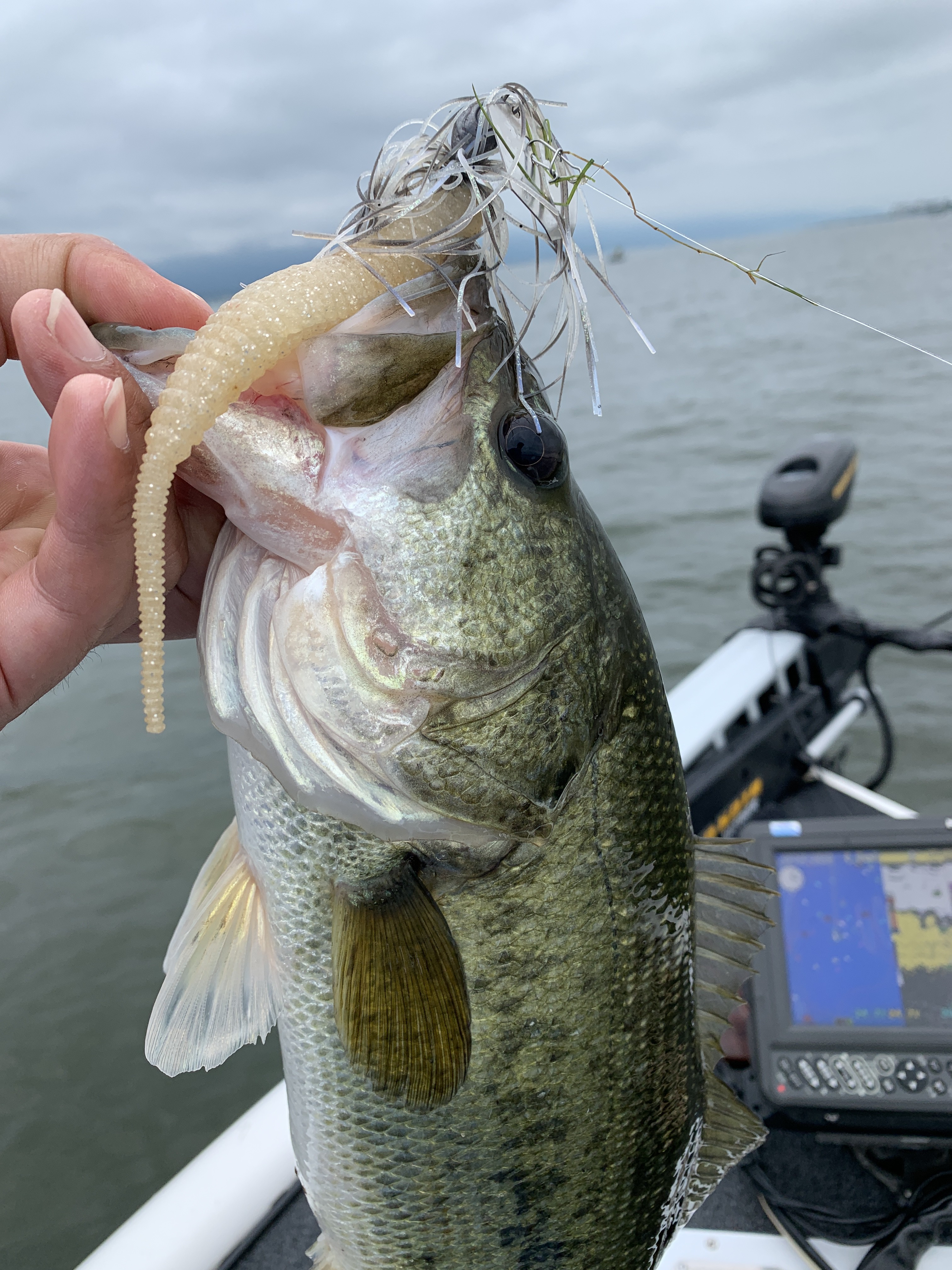 B7F35E32-37A2-4E0C-B544-2ECAA610BC4B