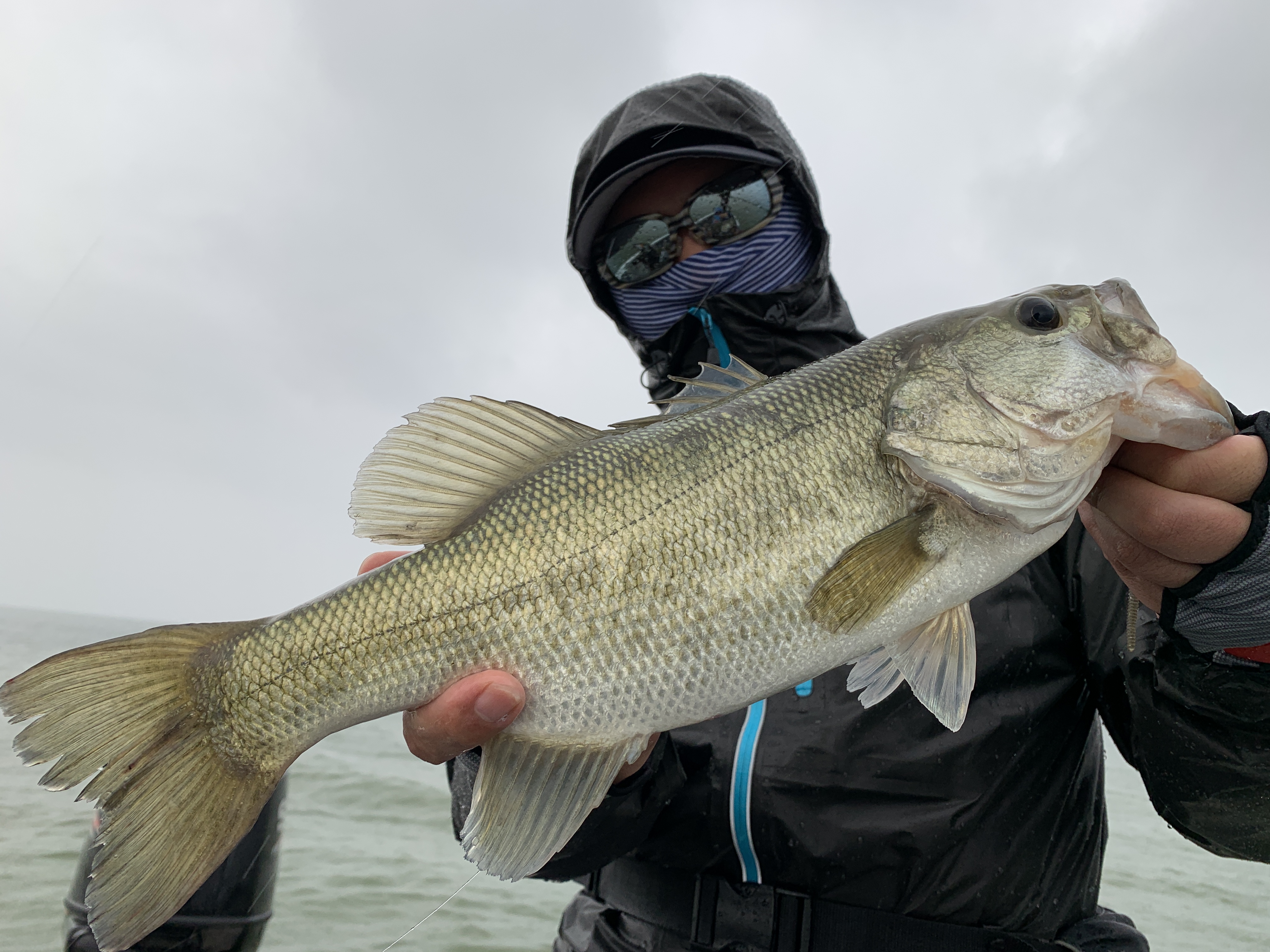 BB5FE03A-E092-48F7-81F7-0B1D424BC3DC