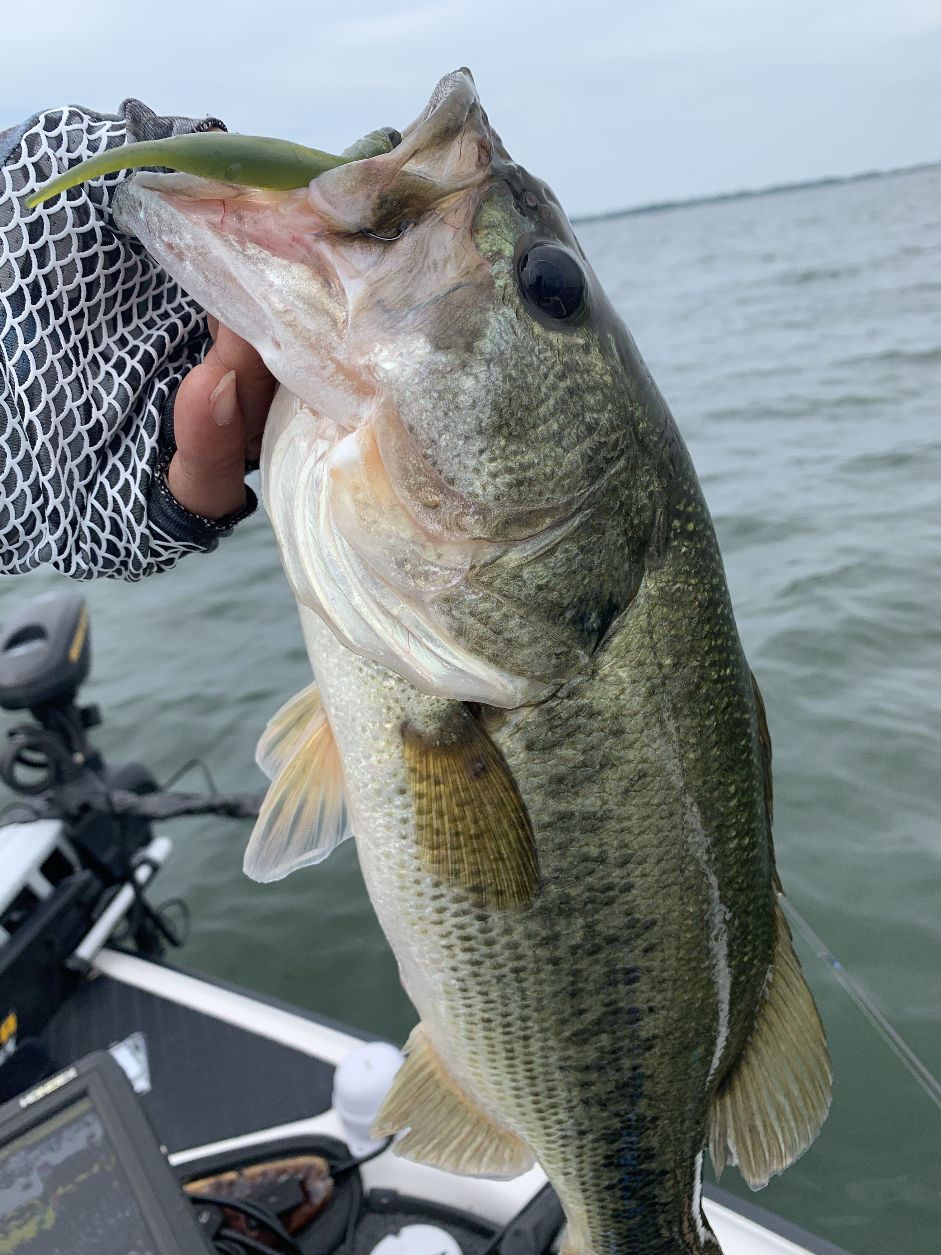 C63574FA-6F51-4EC4-836F-ECB8C381F027