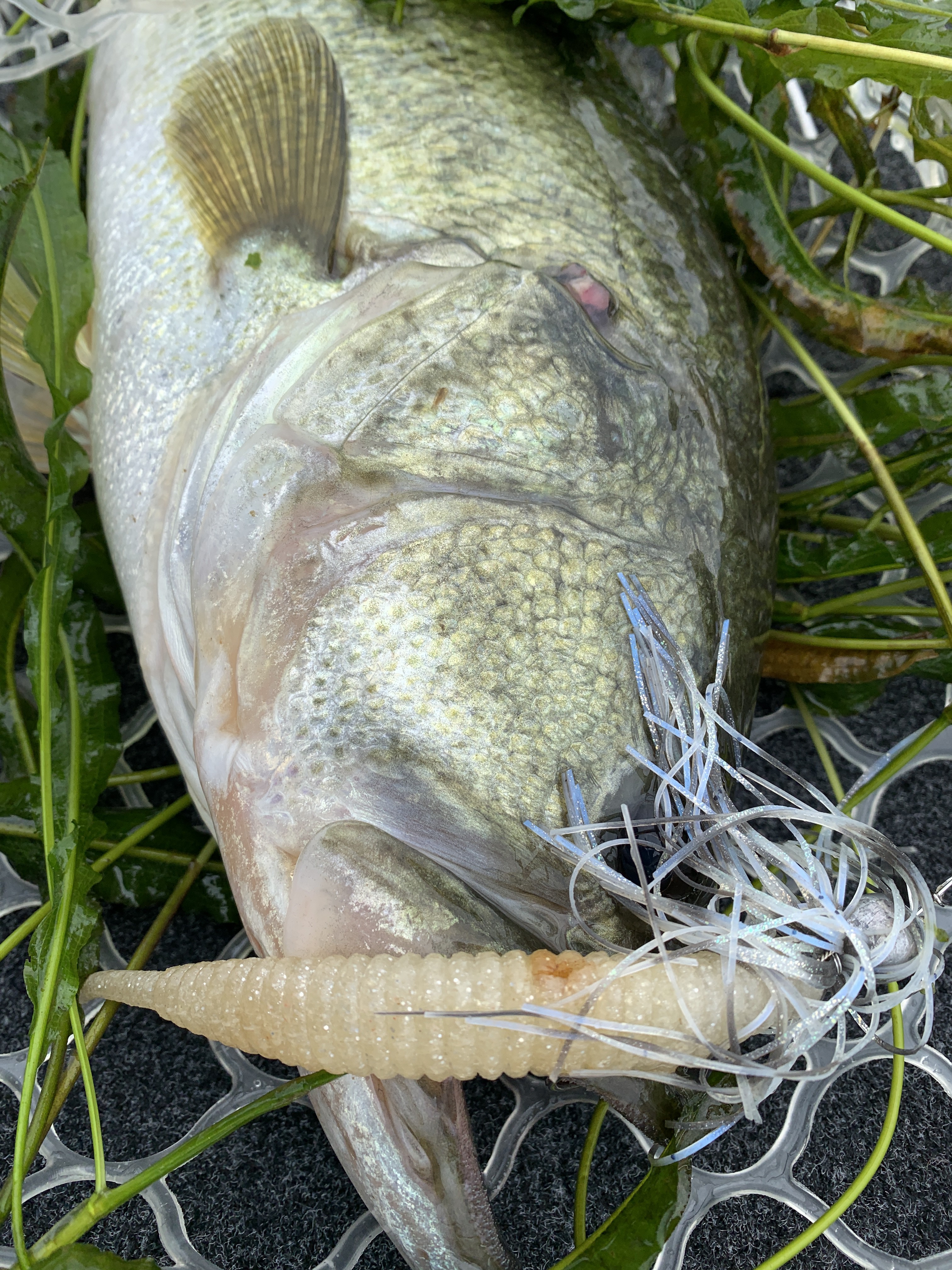 E23E0DF4-AE76-4056-9548-FCE123EDBE46