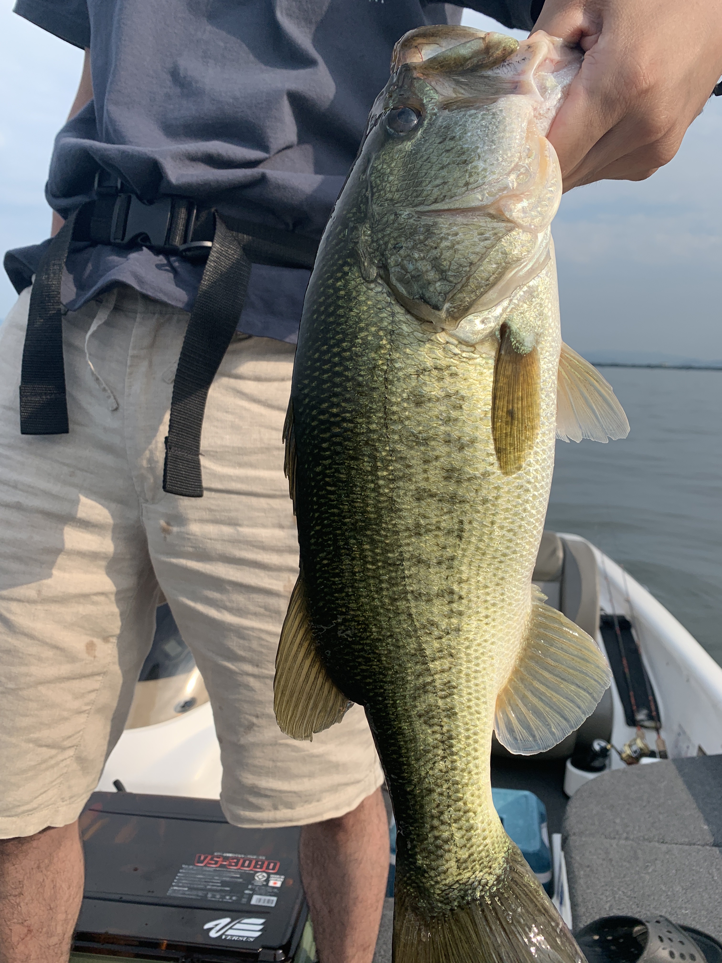 E3D47CED-56F4-413D-9611-269F67B8CBCD