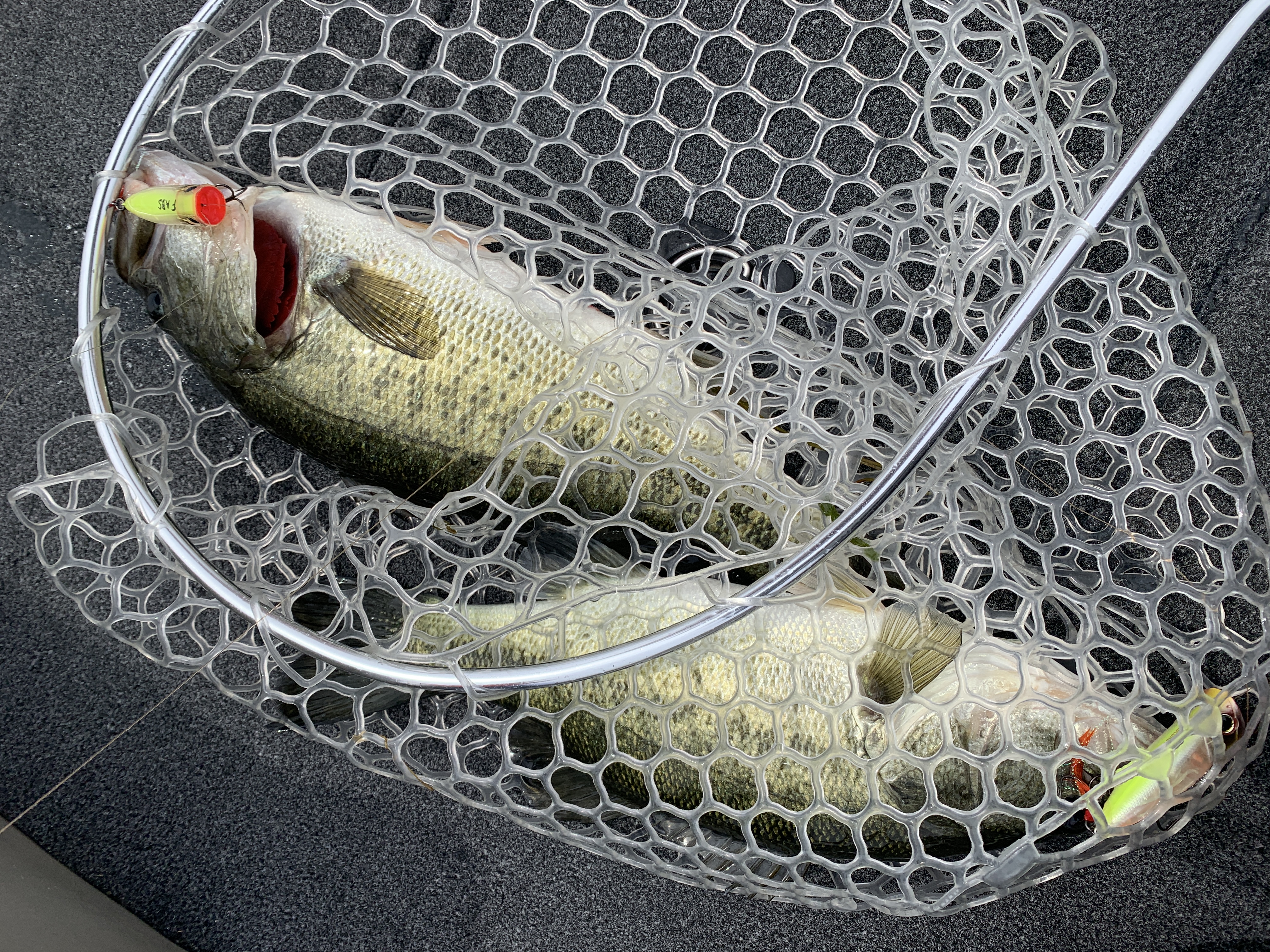 F088C68F-9AF3-4243-8016-D1753C177F1B