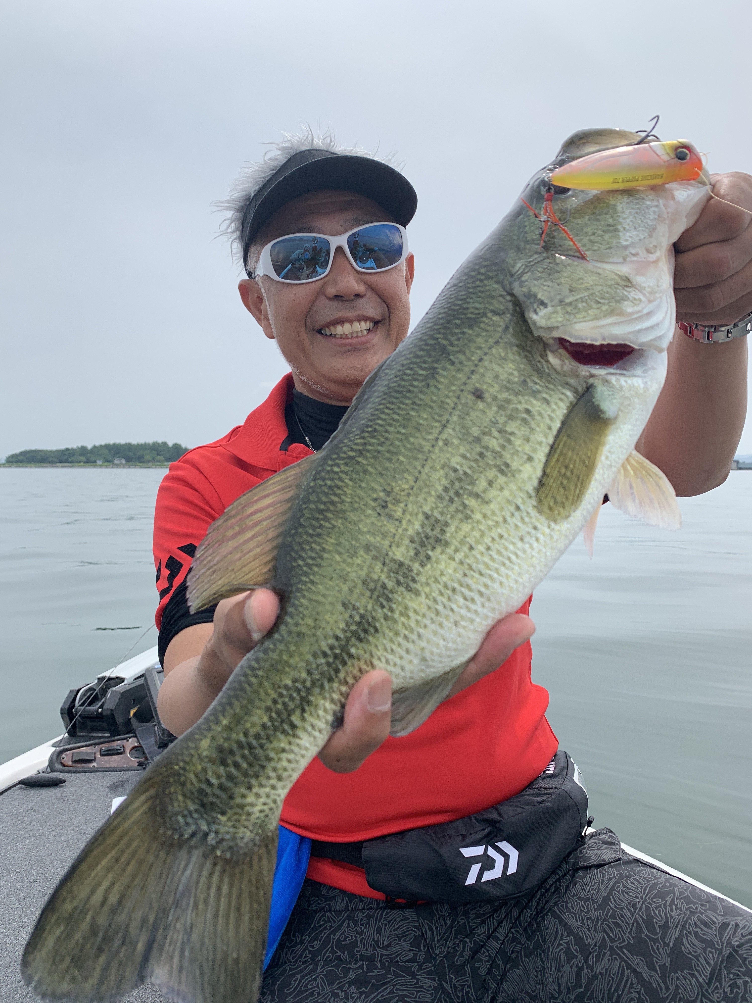 F0F29C08-A95F-4936-8601-E97432F51547