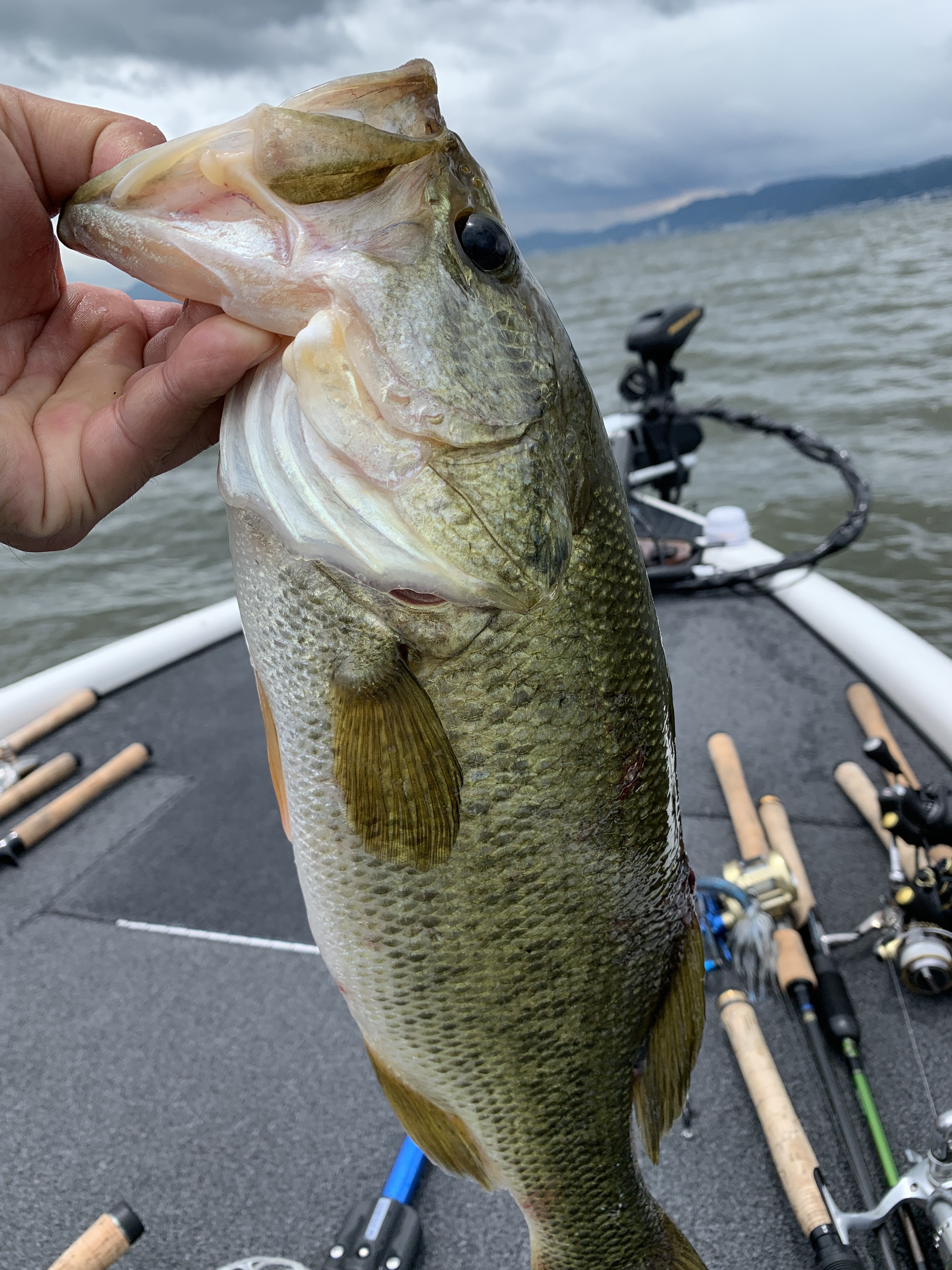 FAB3995A-8D57-41F6-B0A0-9EFBFD771507