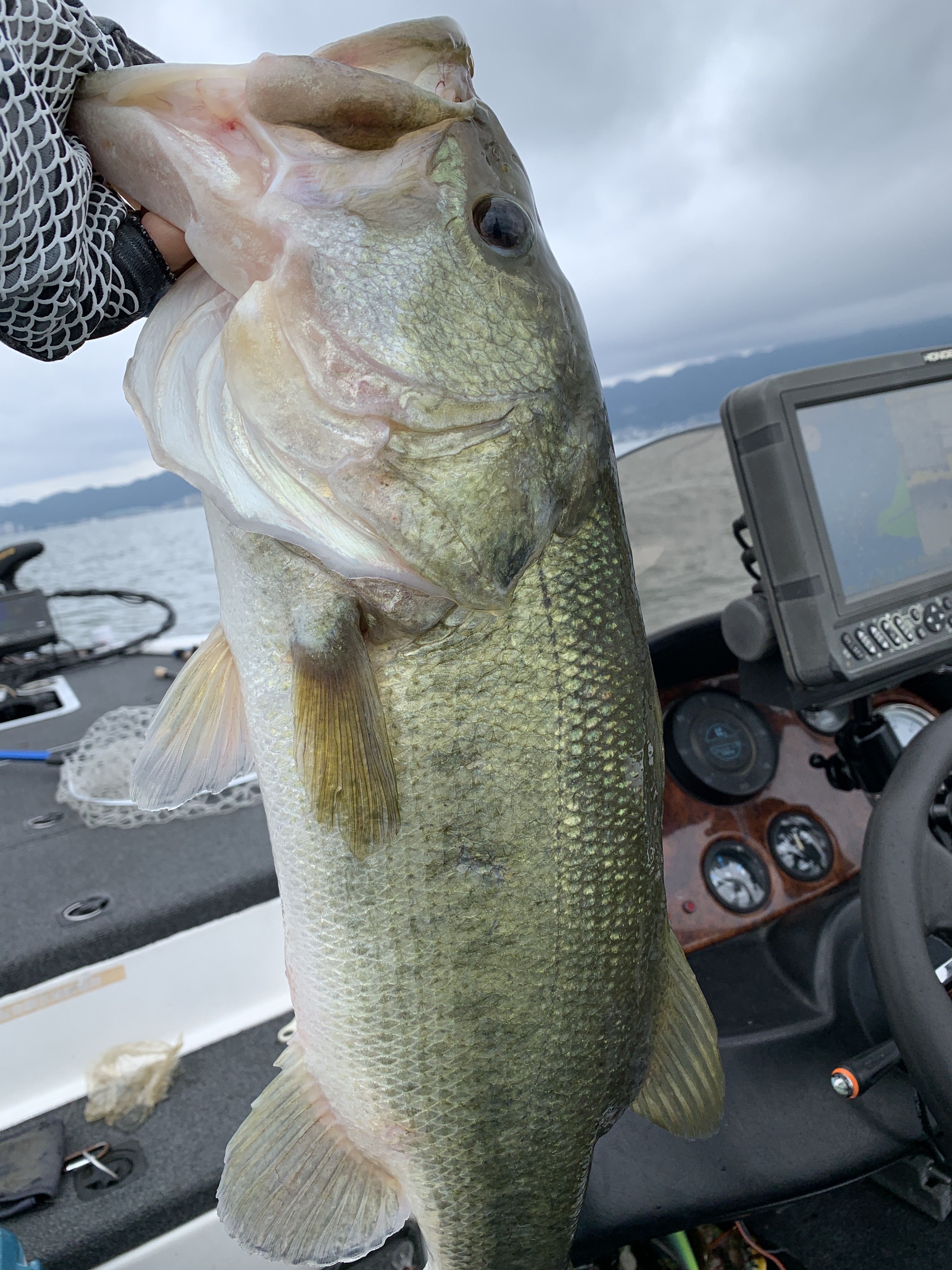 1C6051B4-BB02-497E-A765-87F5334ED746