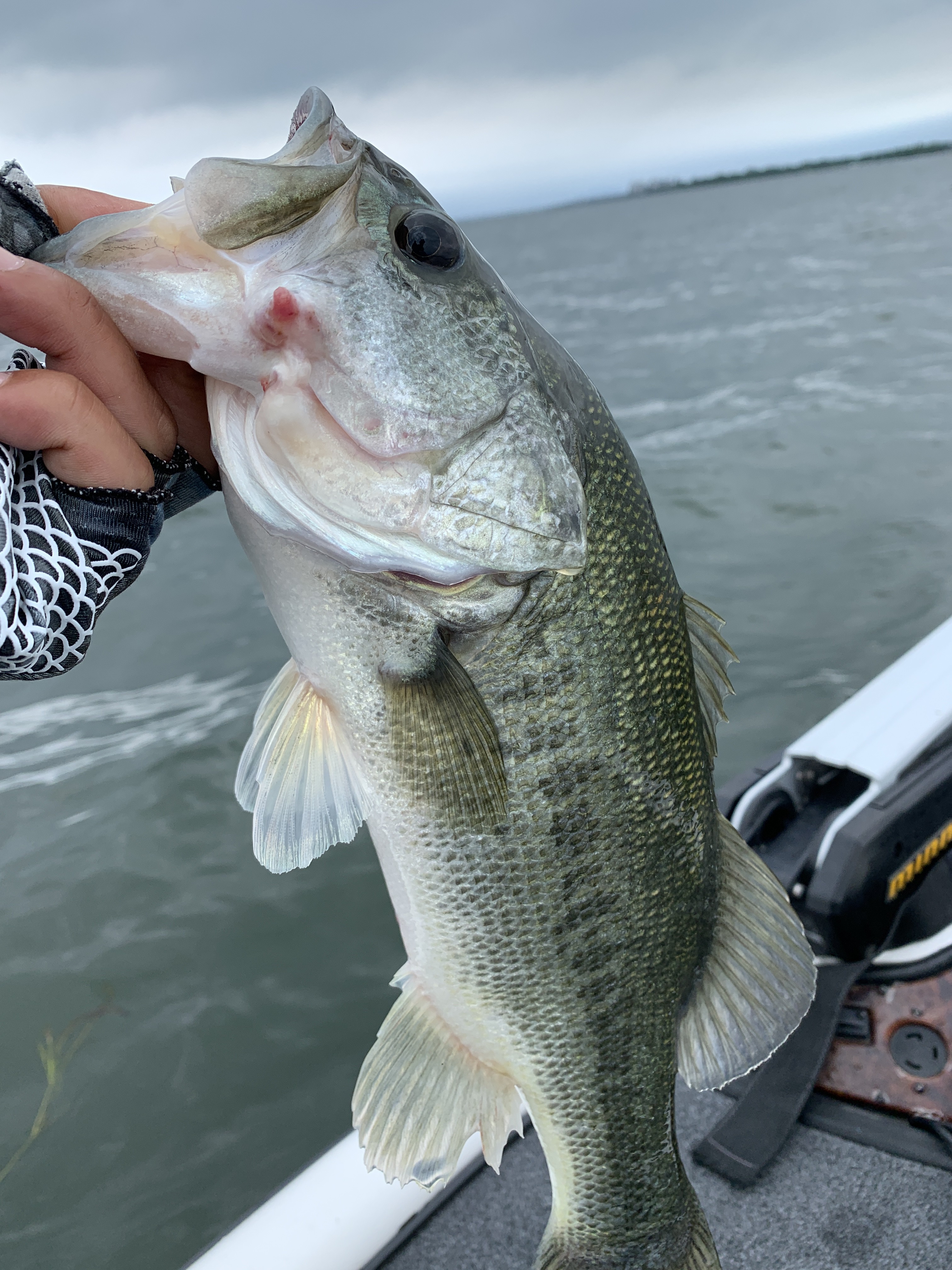 24F2BC75-D0D4-408C-B1E8-EC27A6E5DE3A