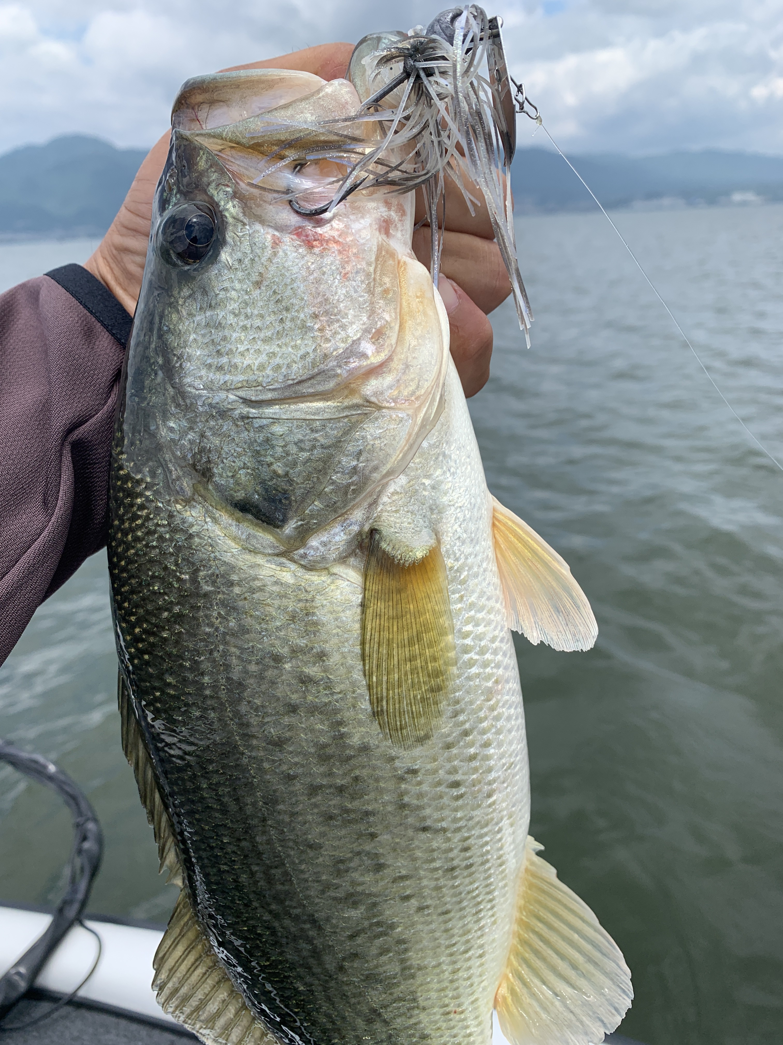 596F04A8-0492-4A58-87F6-4118FA814FBE